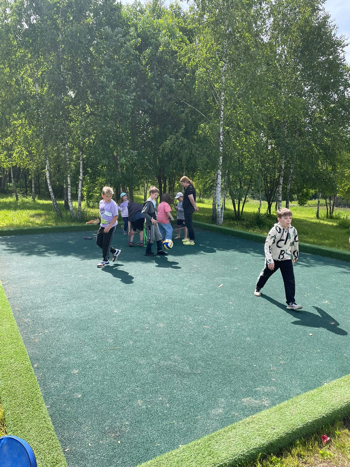 Фото Малина