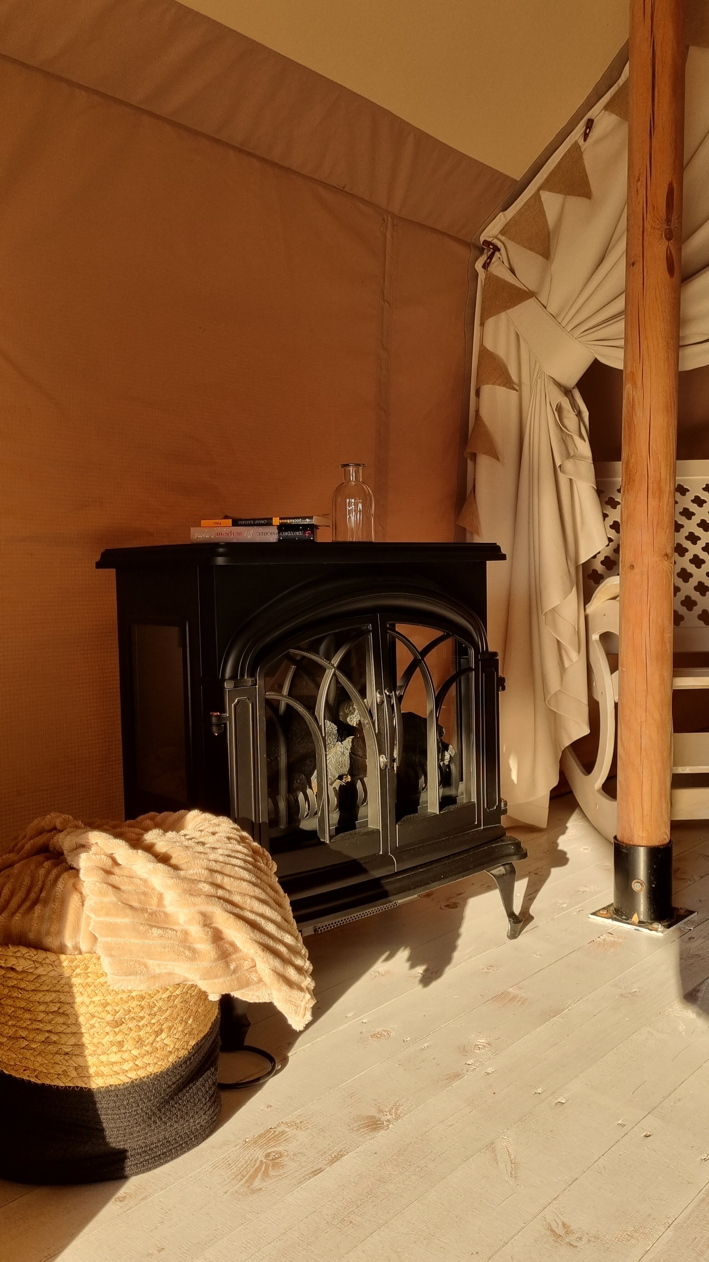 Фото Малина