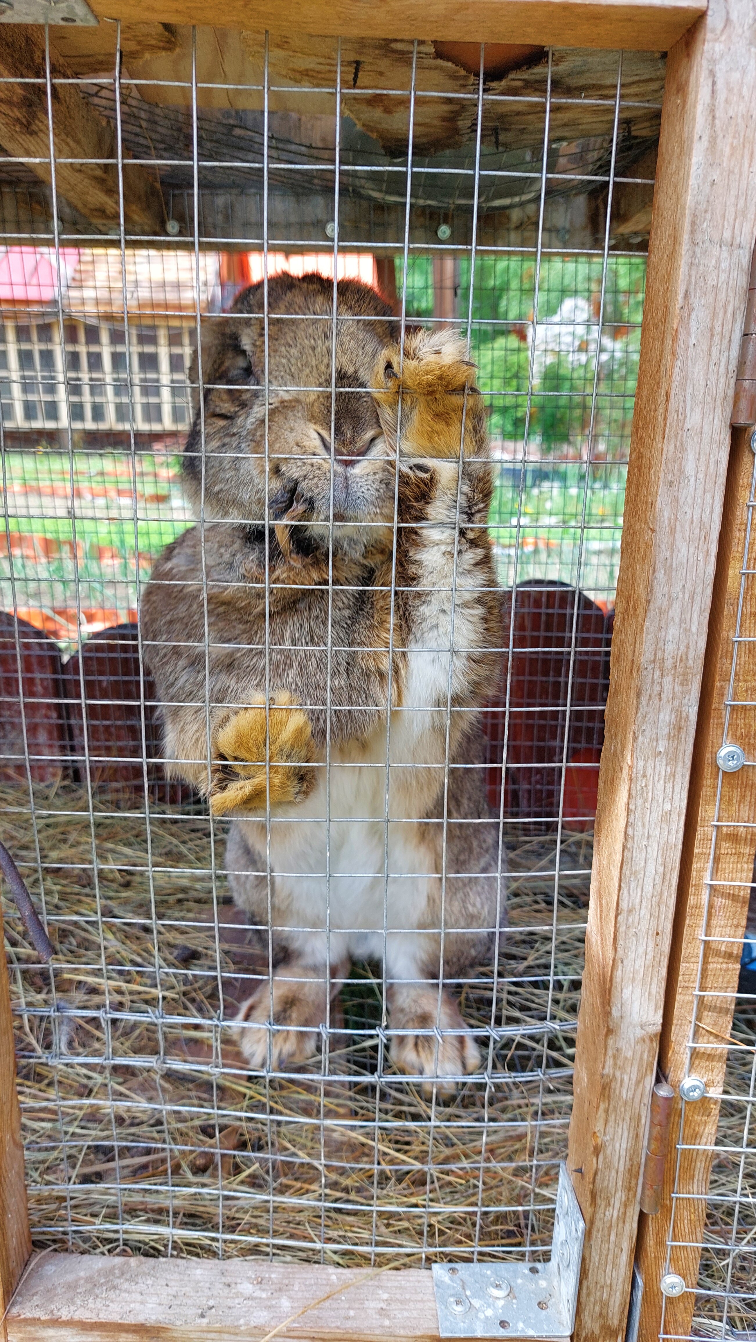 Фото Марьина Роща