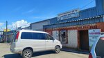 Азалия (Rybozavodskoy Drive, 27к2) ، النباتات والزهور الاصطناعية