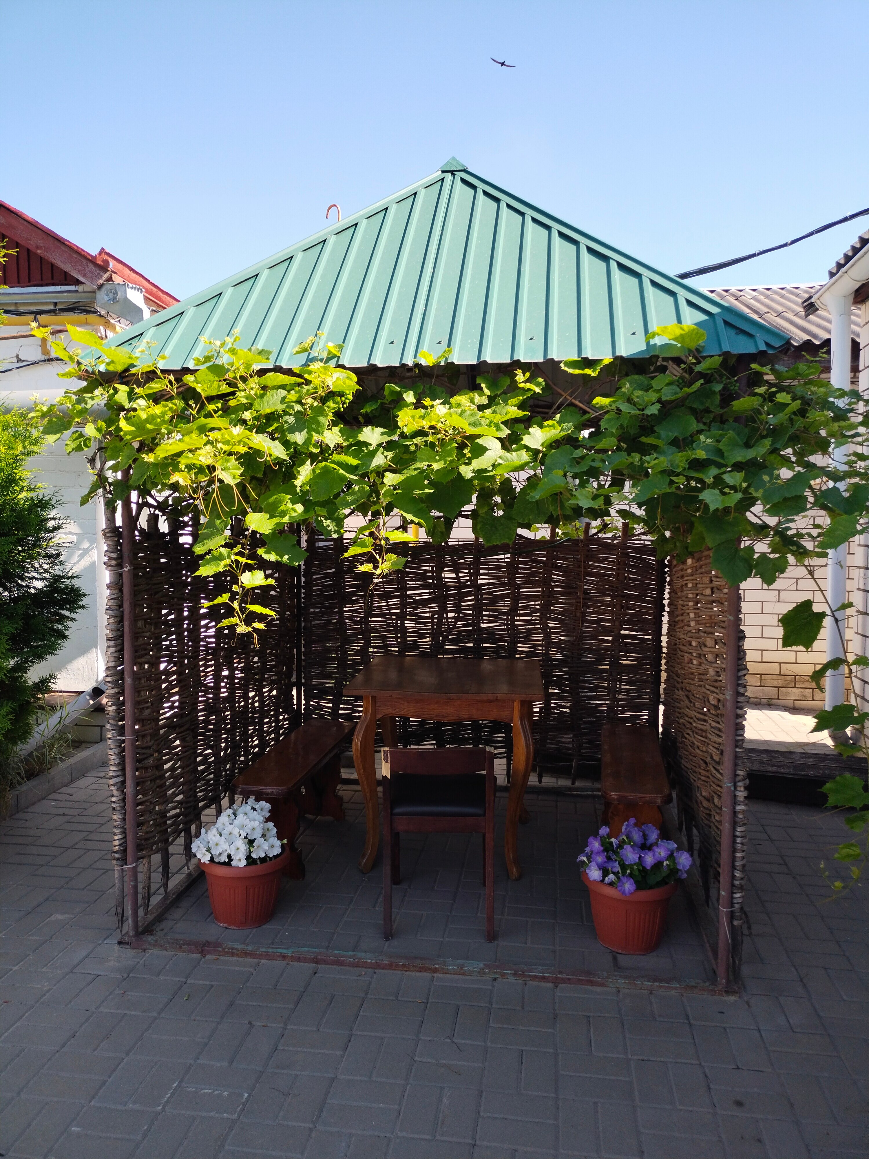 Фото Наташа