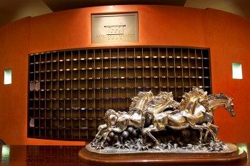 Фото Hotel Gran Paradiso