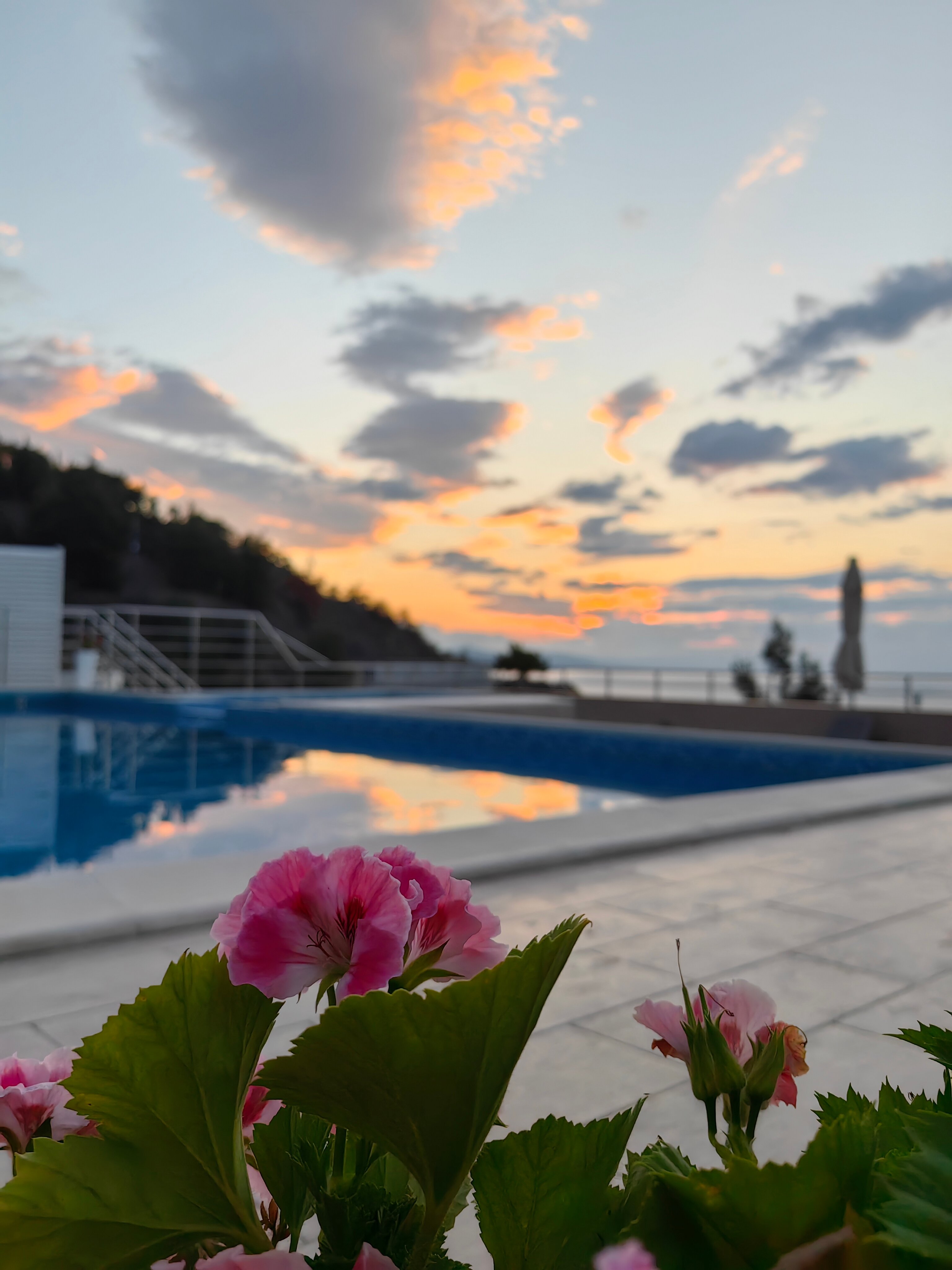 Фото Bella Safia