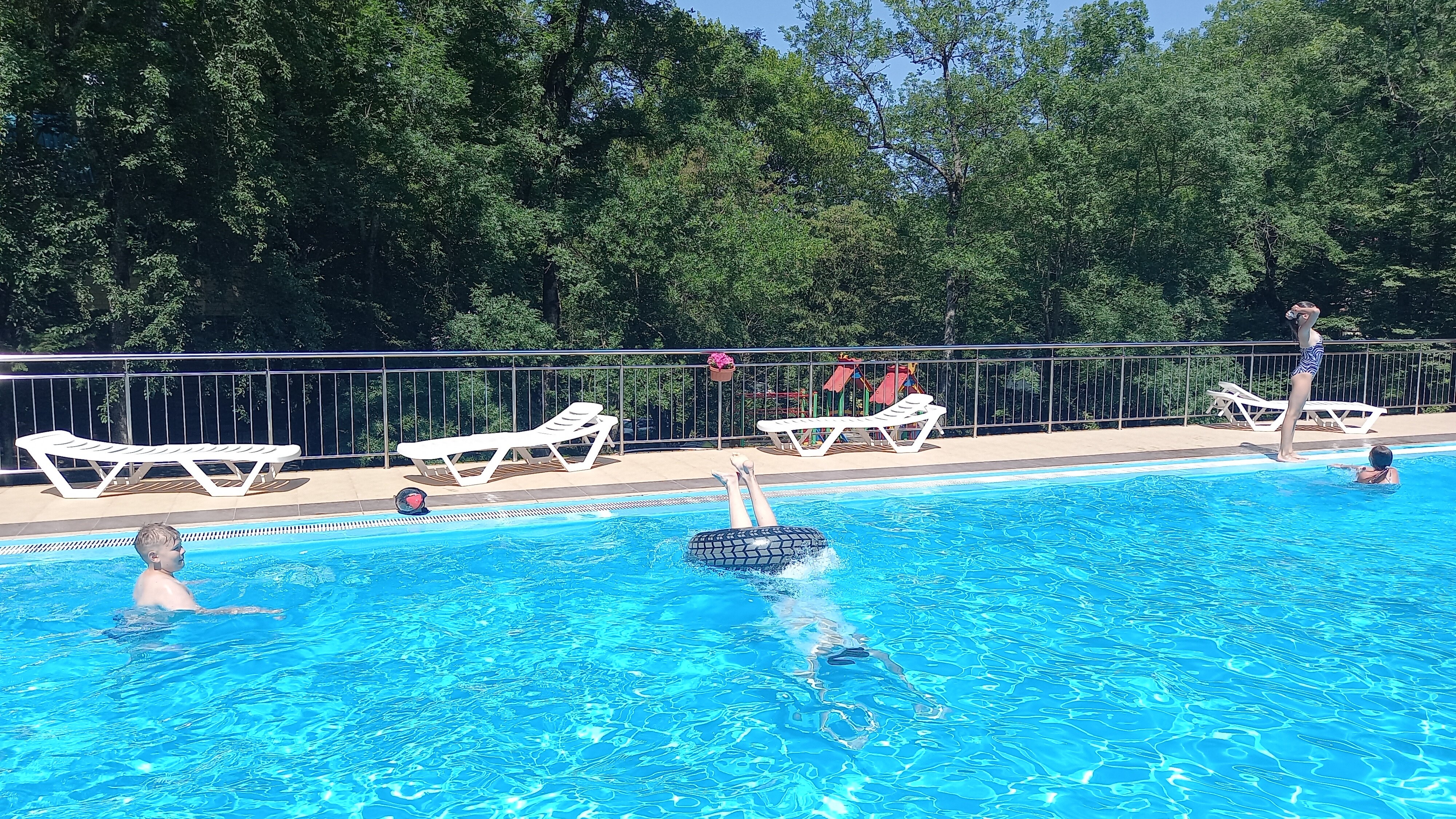 Фото Примула