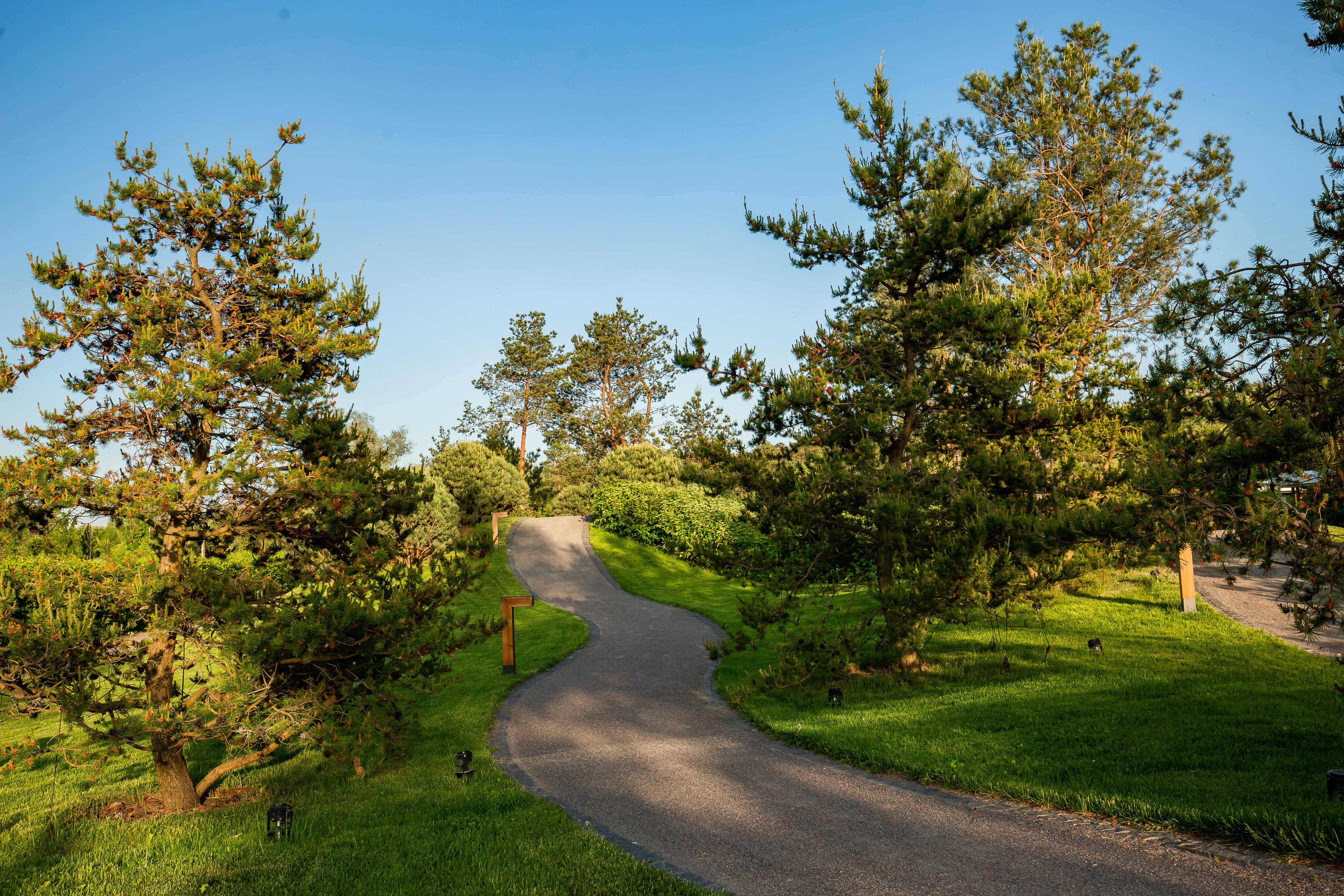 Фото Sberbank Corporate University