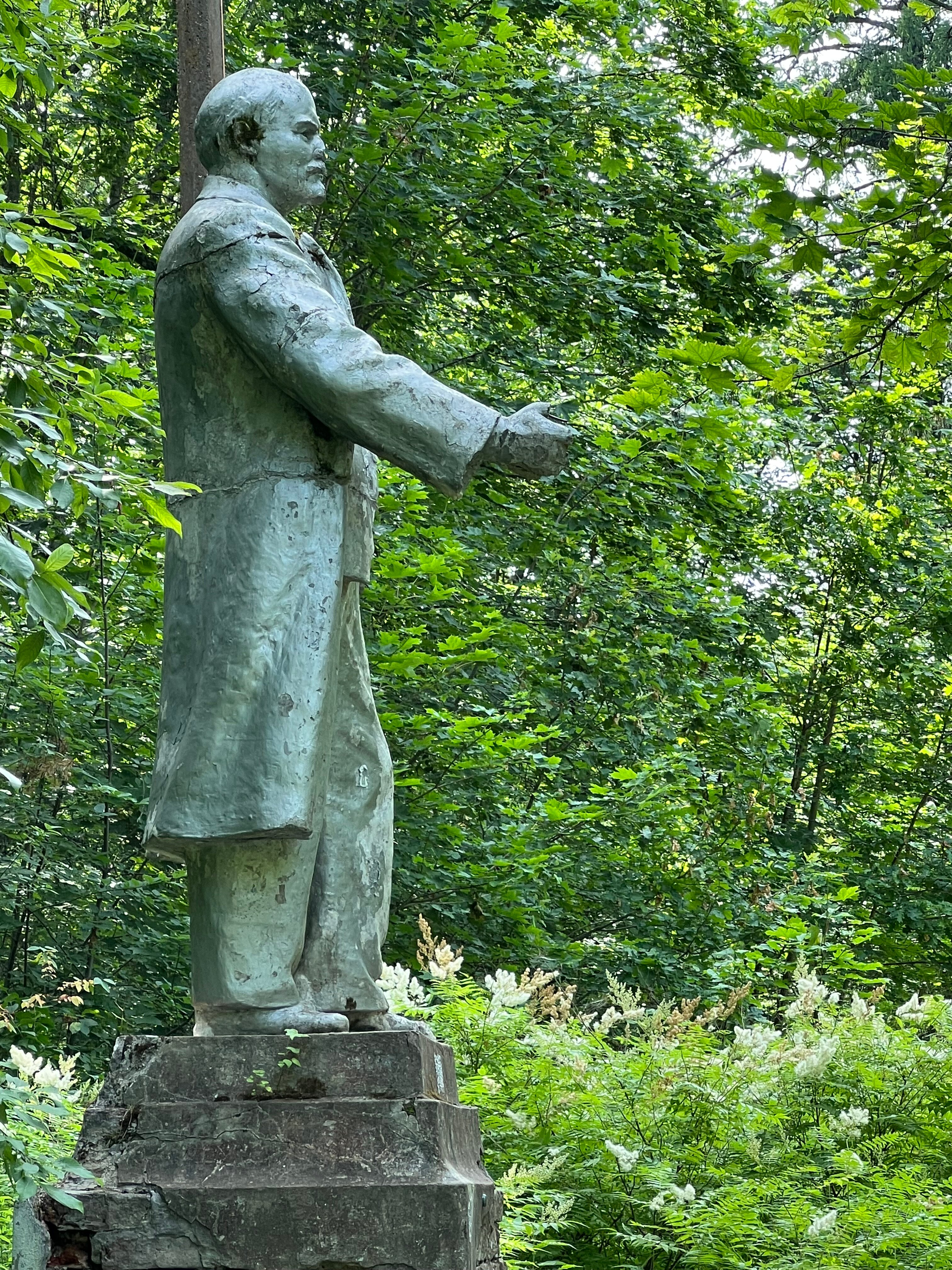 Фото Лесная дача