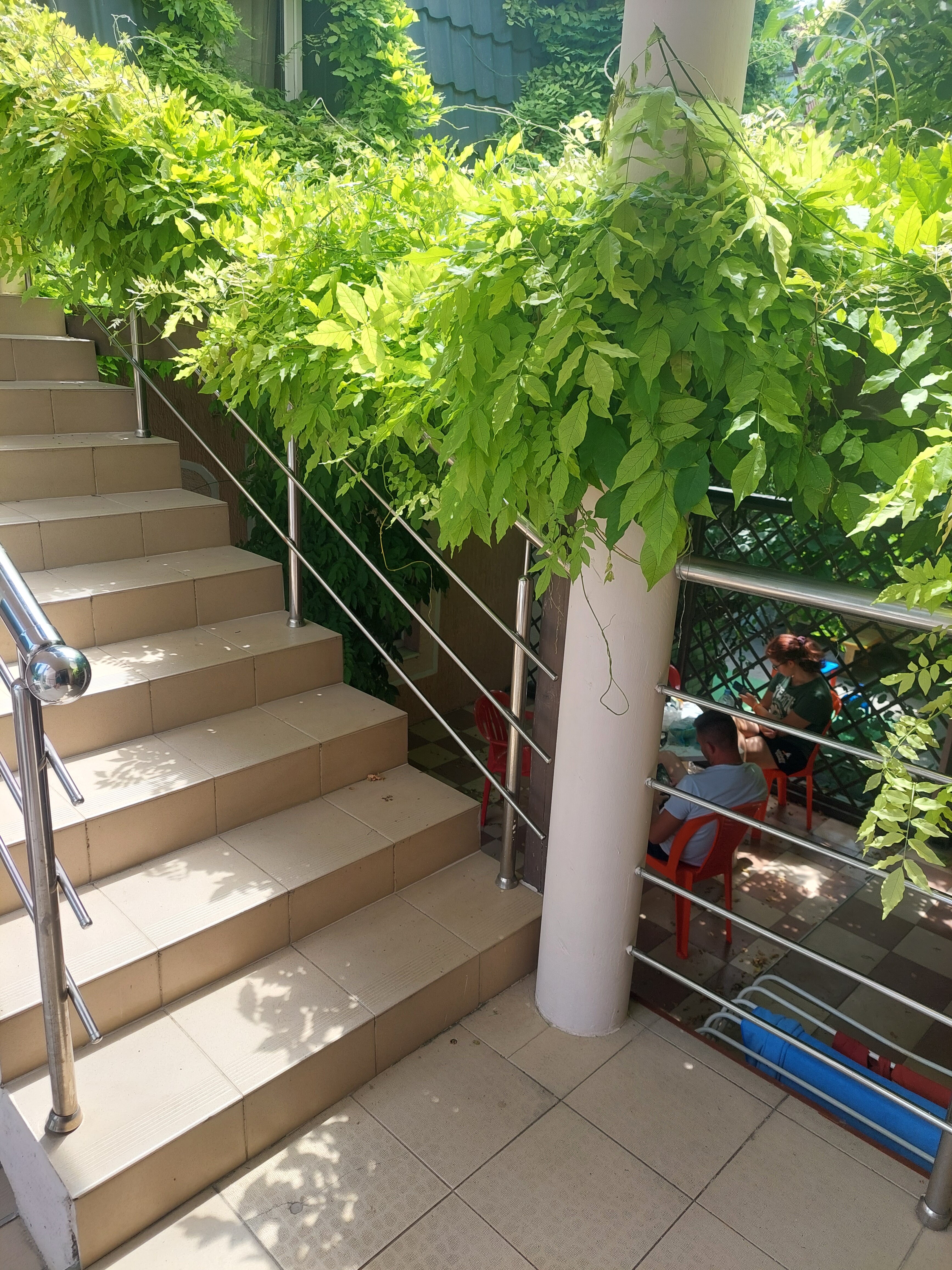 Фото Светлый