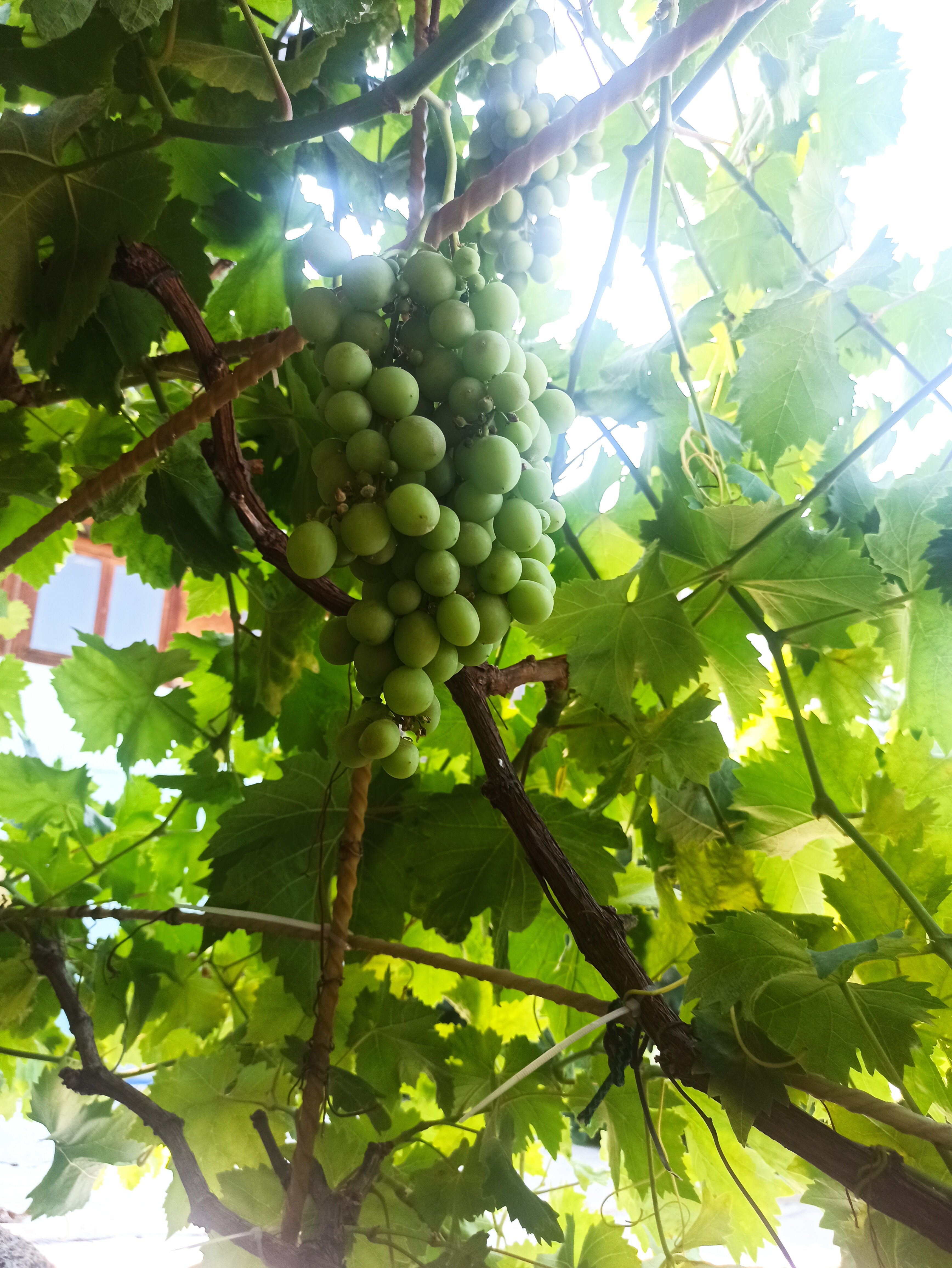 Фото Кавказская пленница