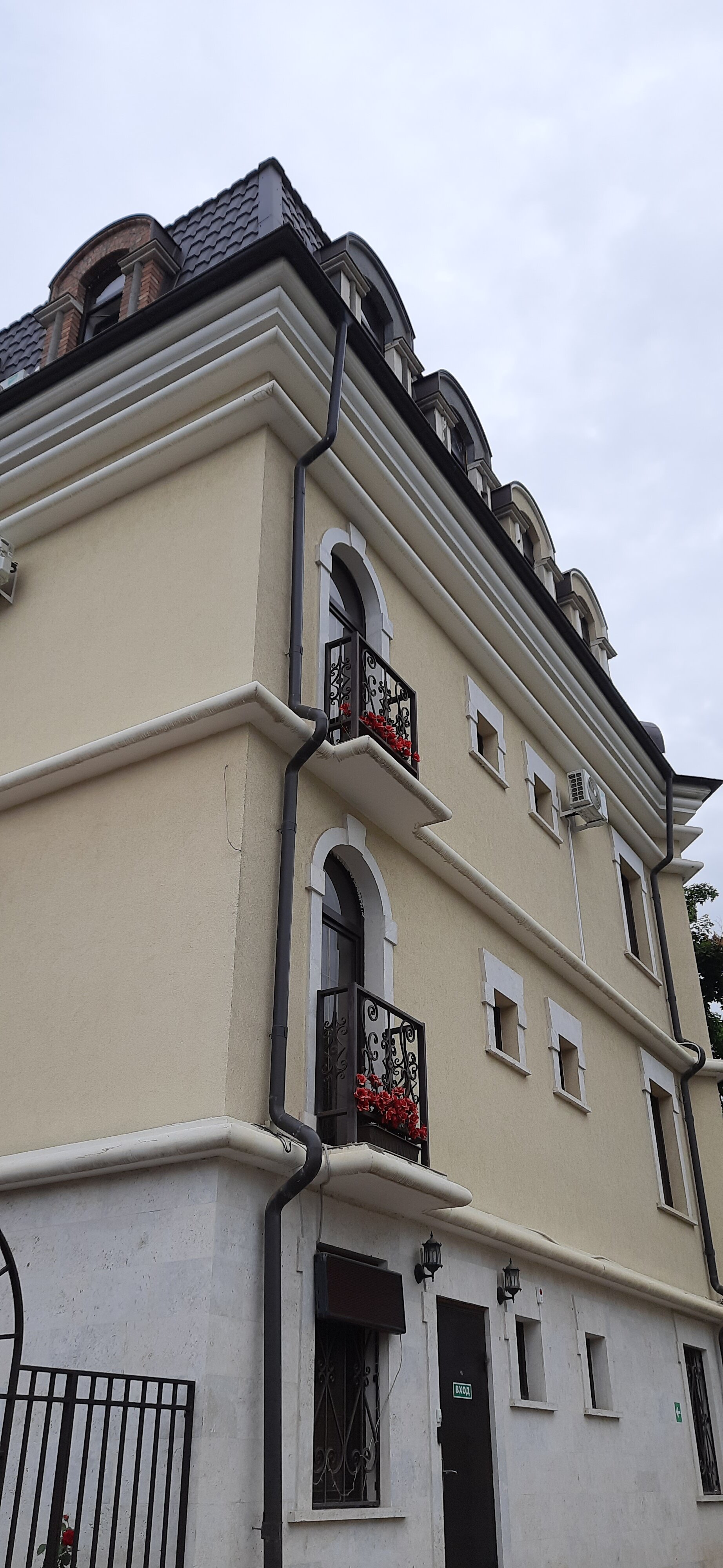 Фото Роза Кавказа