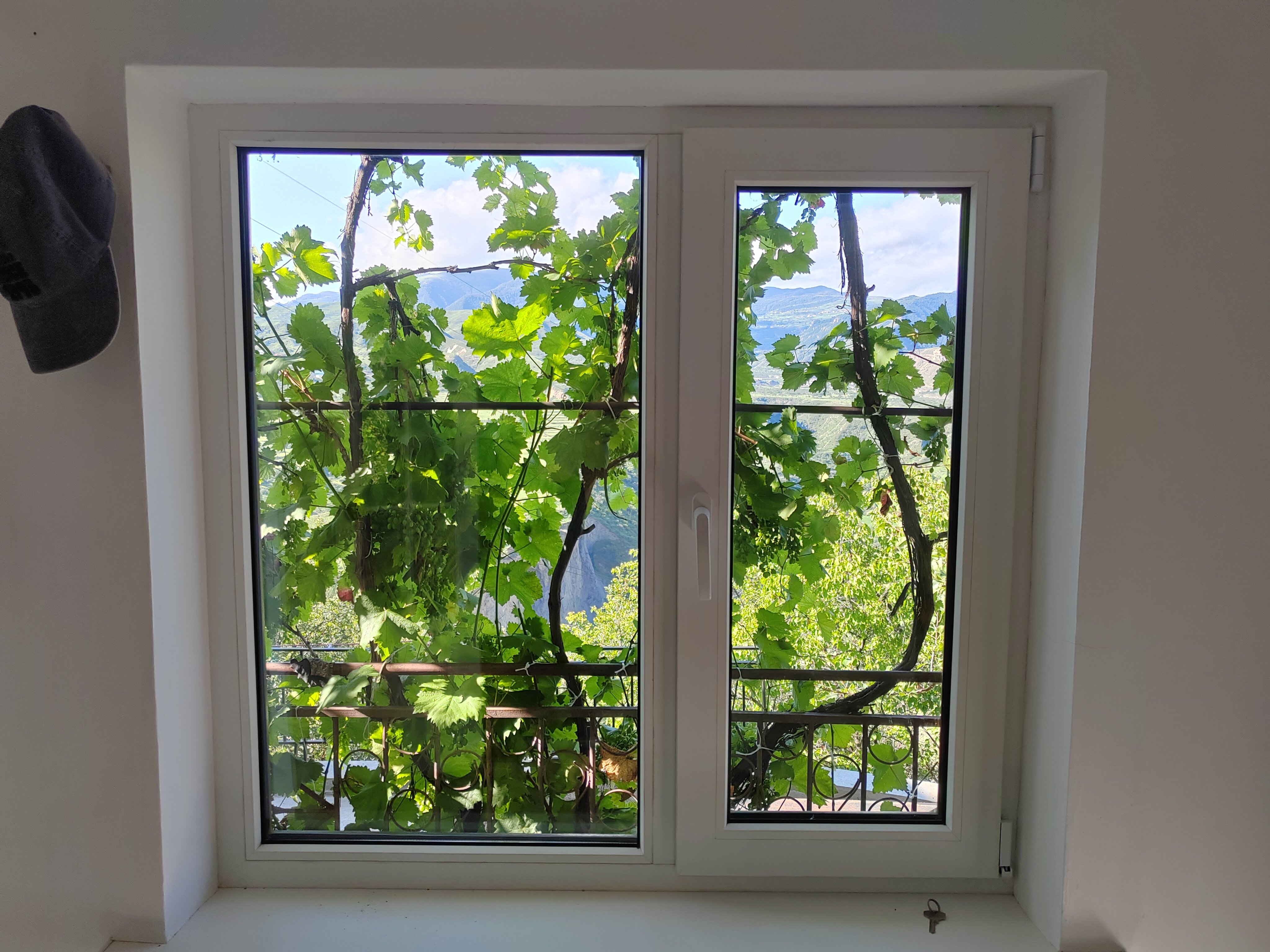 Фото Пение птиц