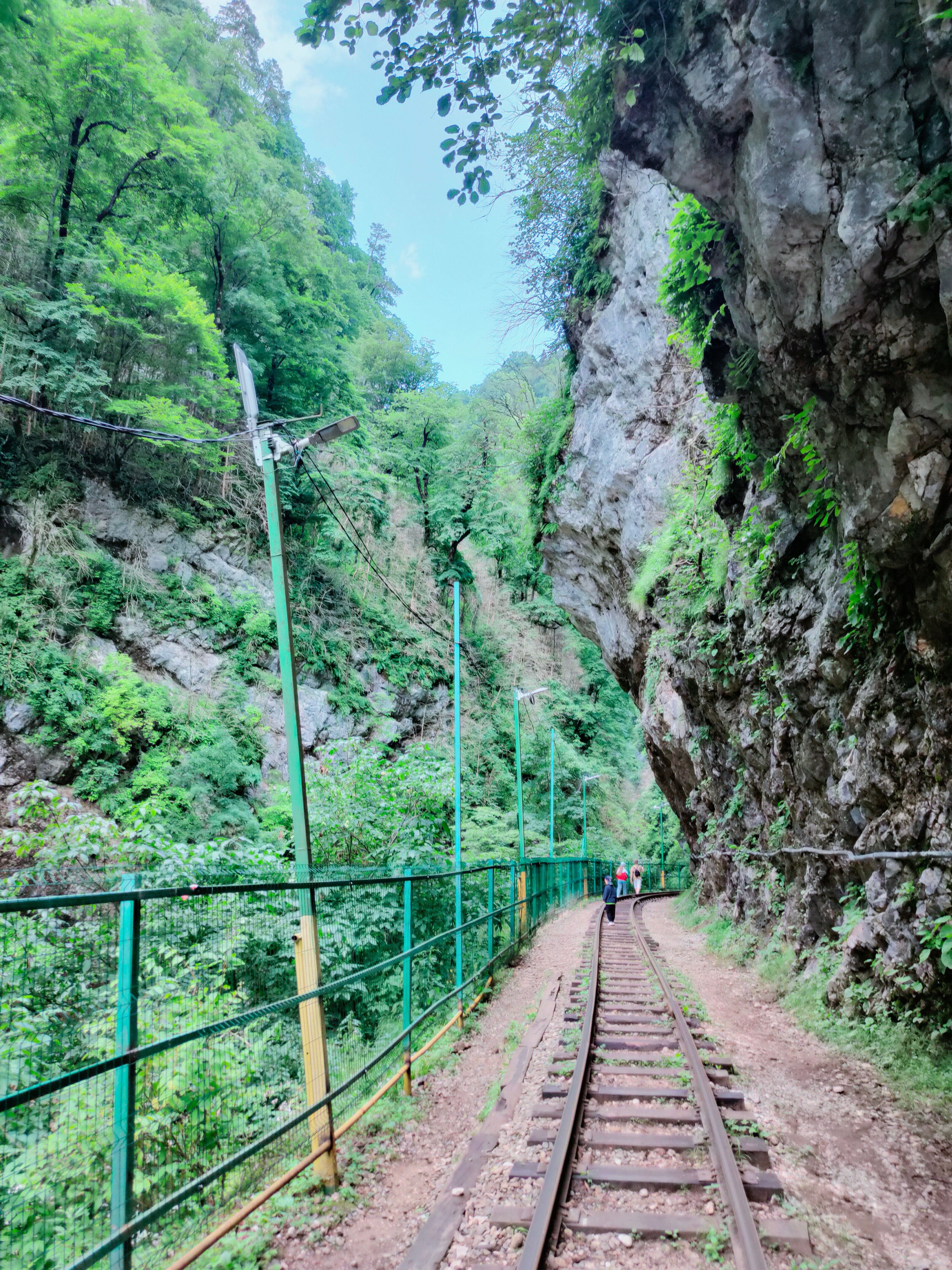 Фото Солярис