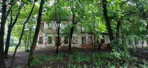 Усадьба Олениных (Ryazan Region, Kasimovskiy munitsipalny okrug, posyolok Krutoyarskiy), landmark, attraction