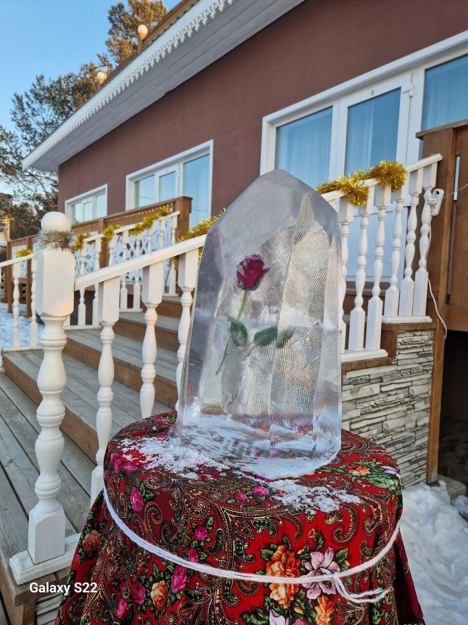 Фото У Лукоморья