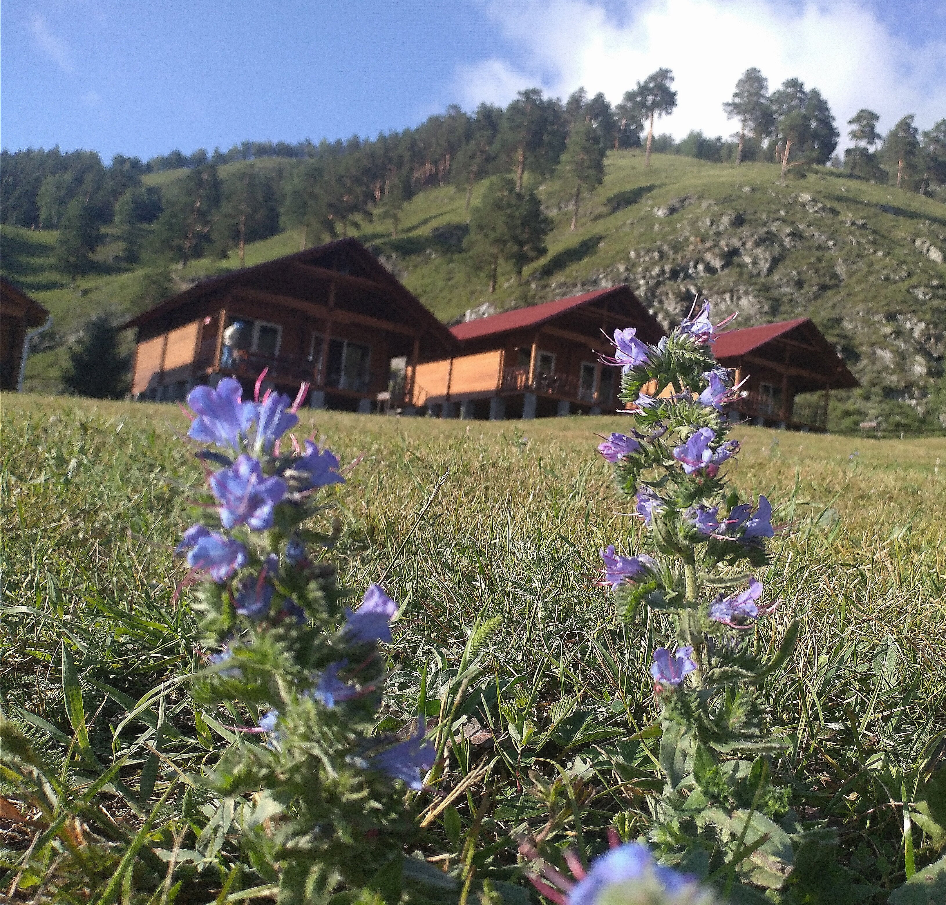 Фото Горный источник