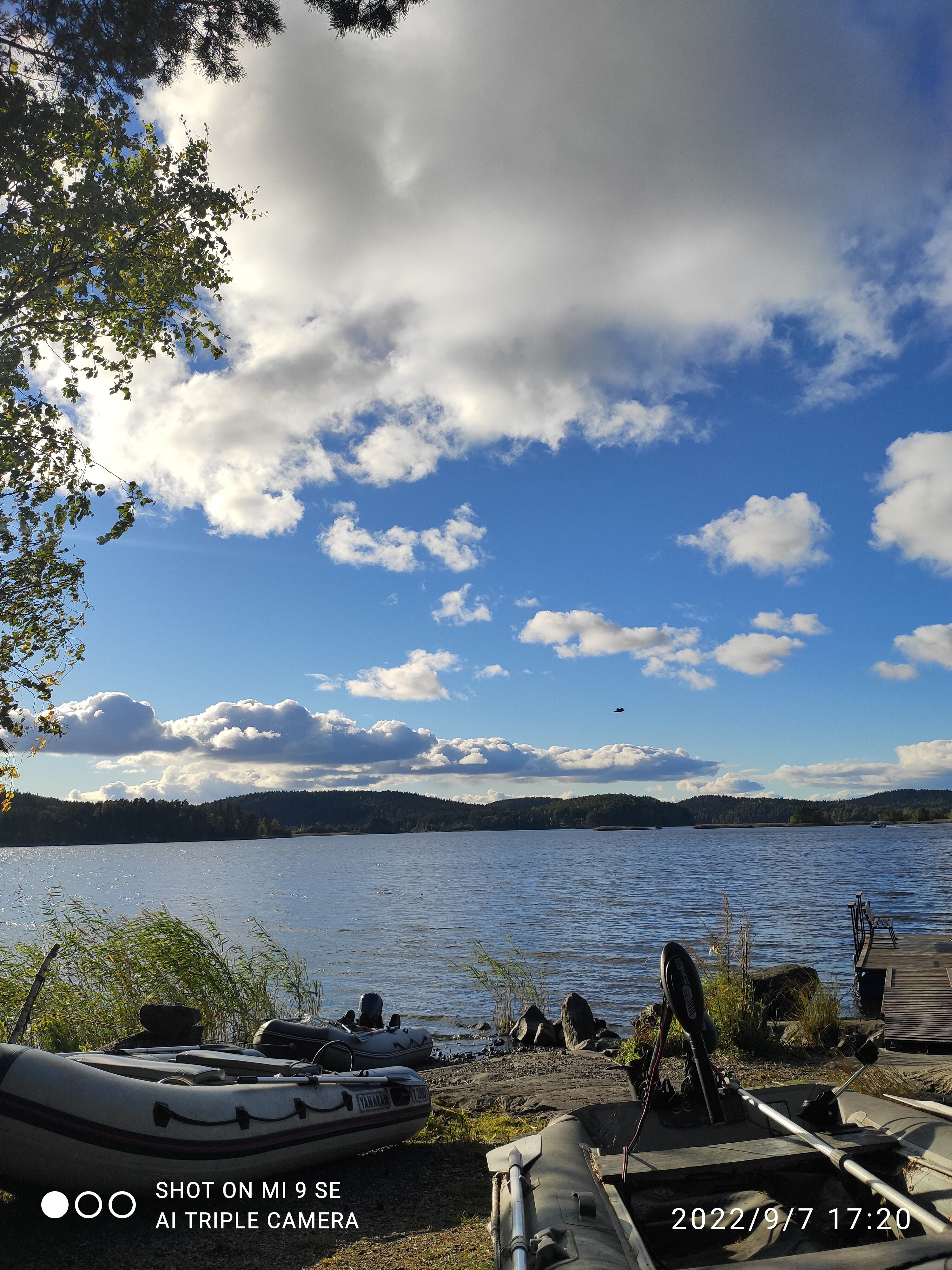 Фото Коттедж Берег у леса