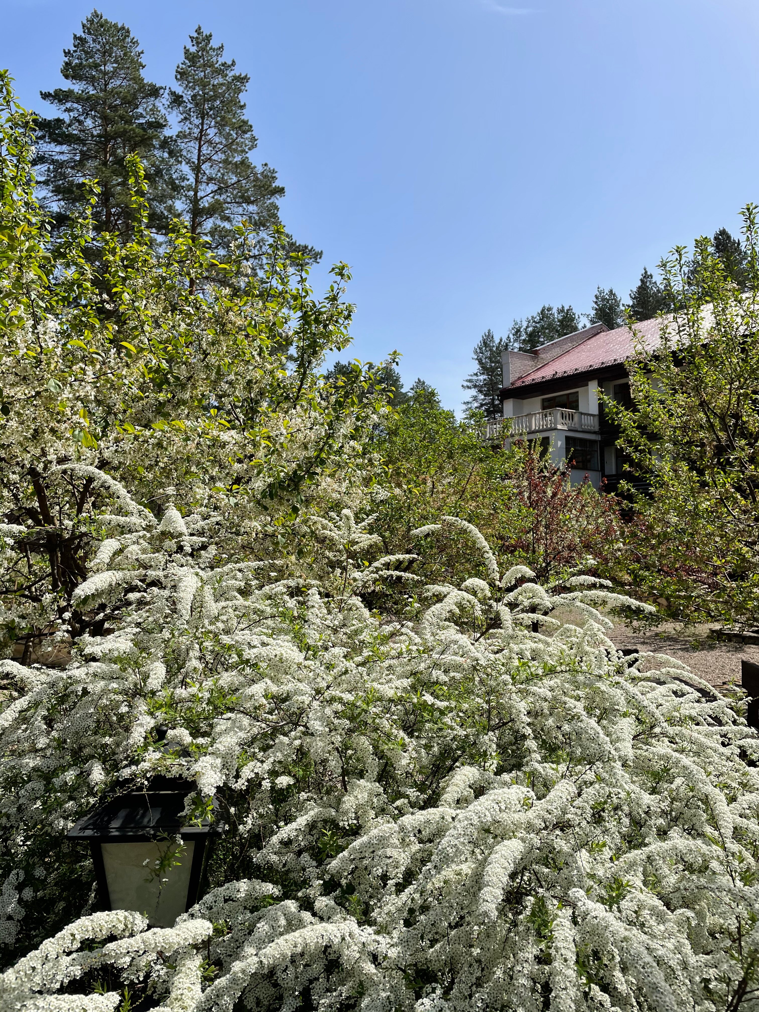 Фото Усадьба Мещёрская