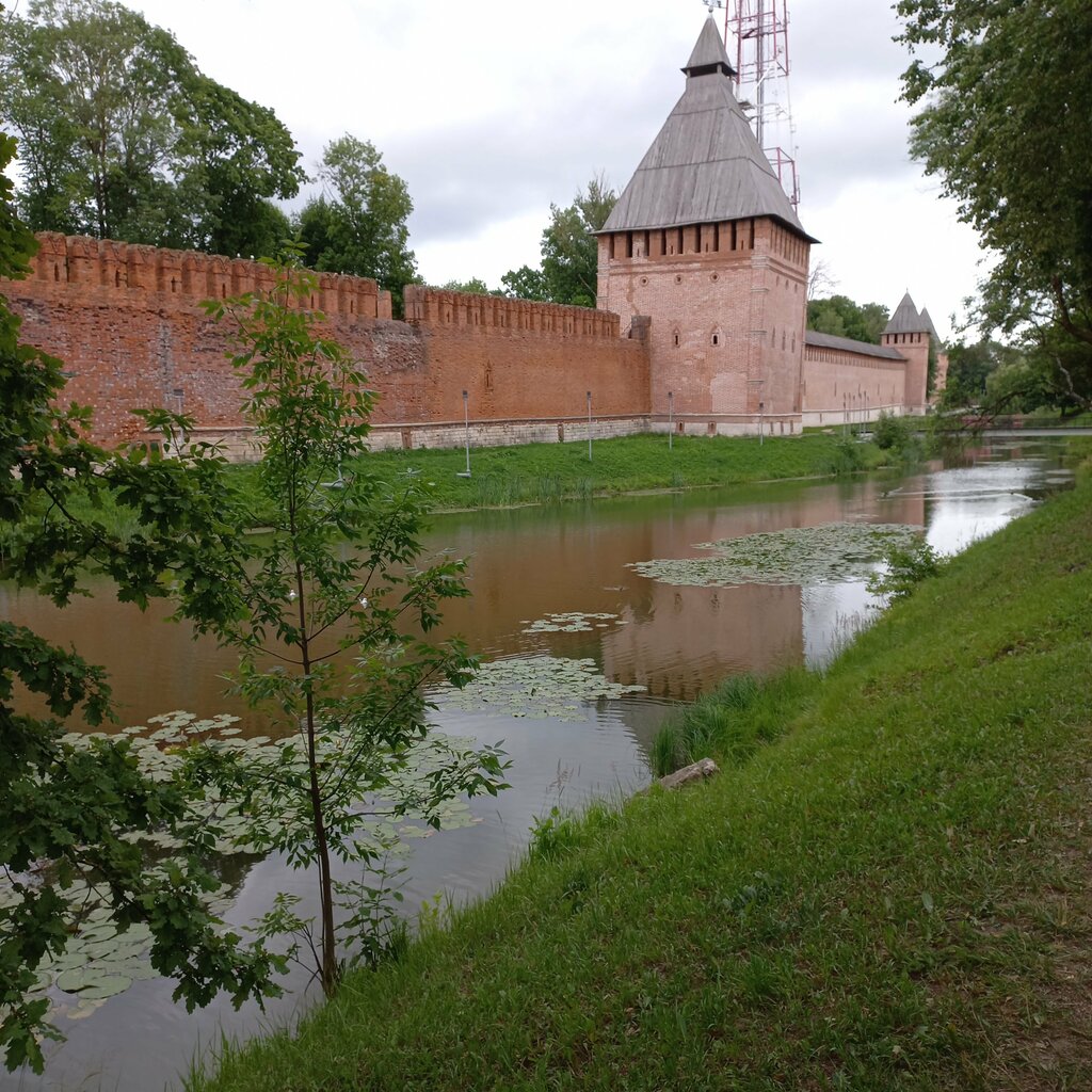 Turistik yerler Королевский бастион, Smolensk, foto