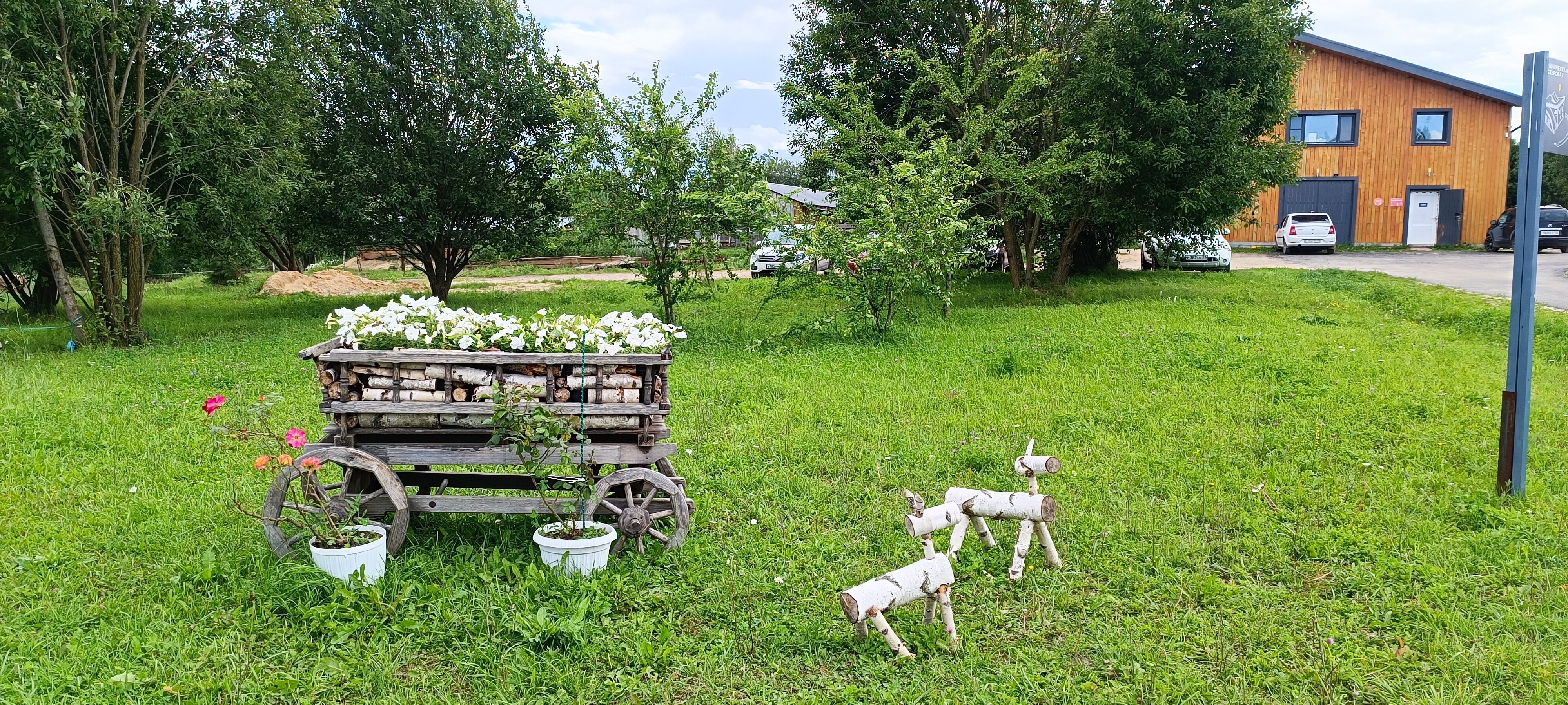 Фото Ясно Поле