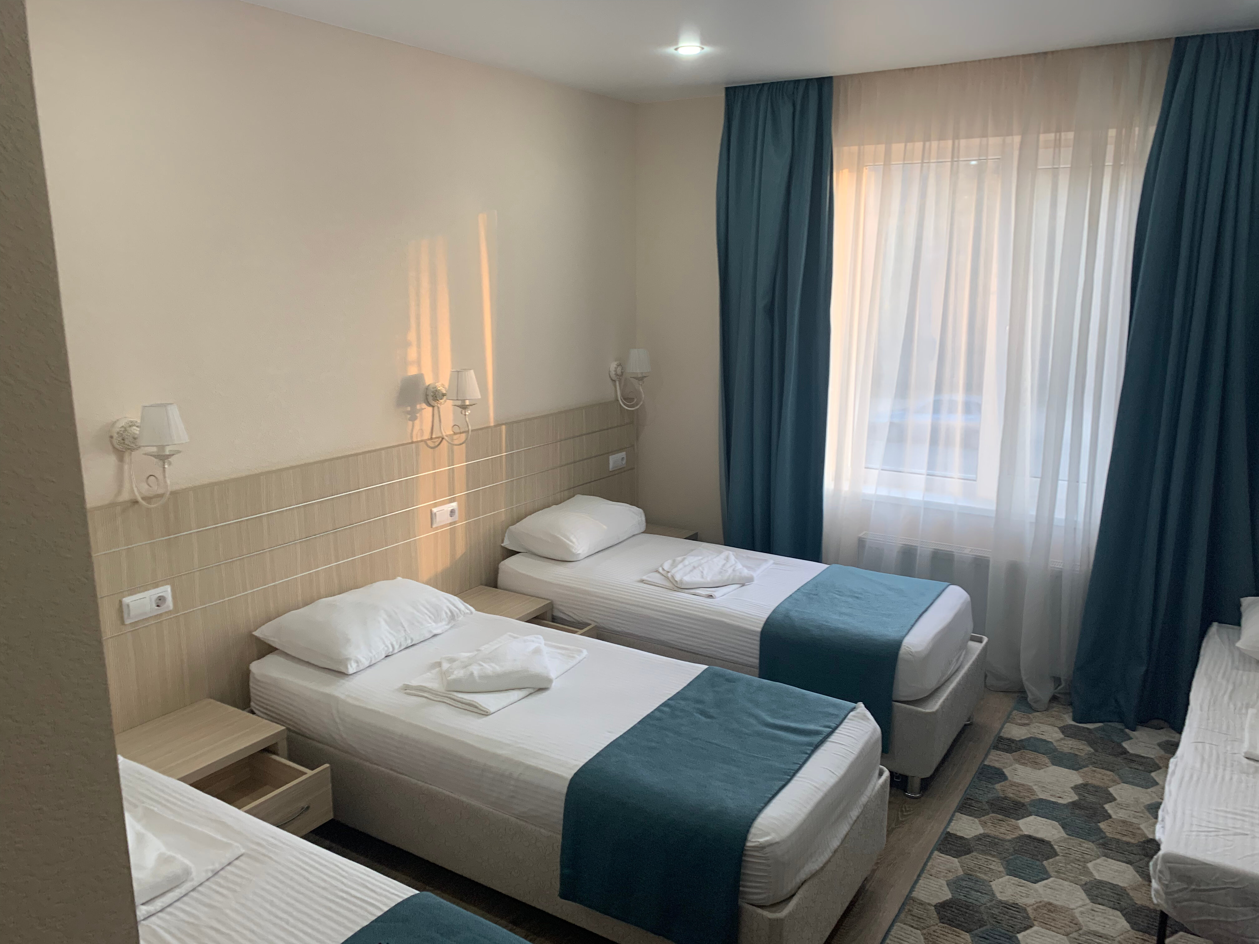 Фото Березка