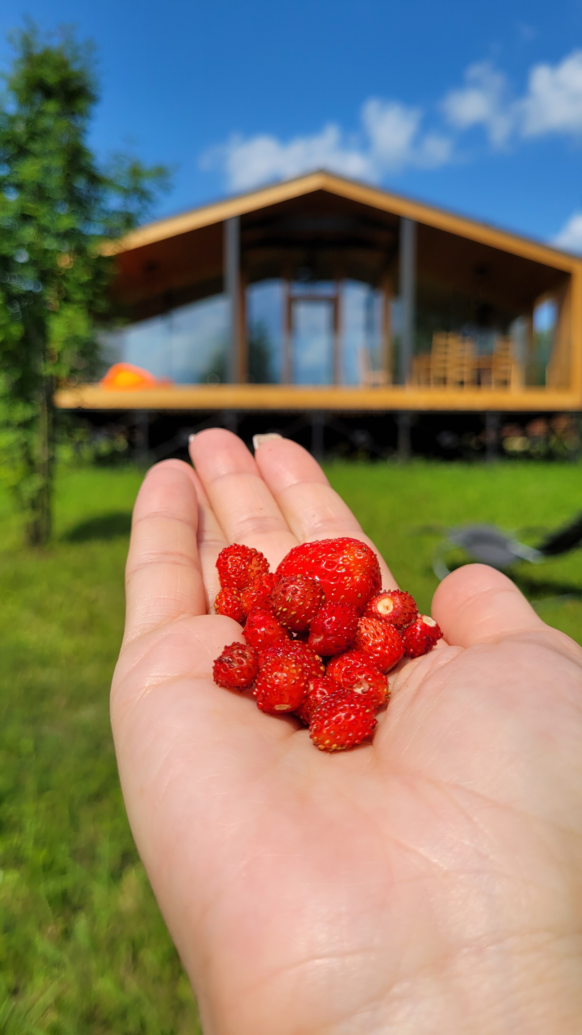 Фото Rodioncevo Eco Village