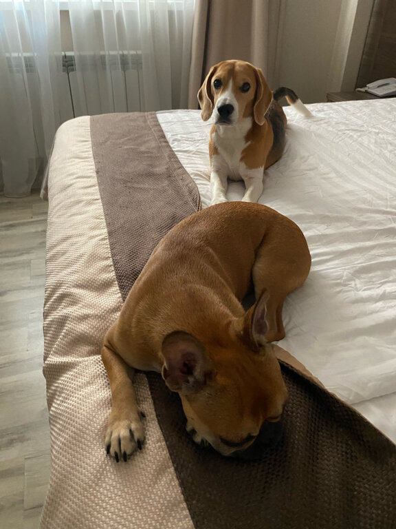 Фото Хемингуэй