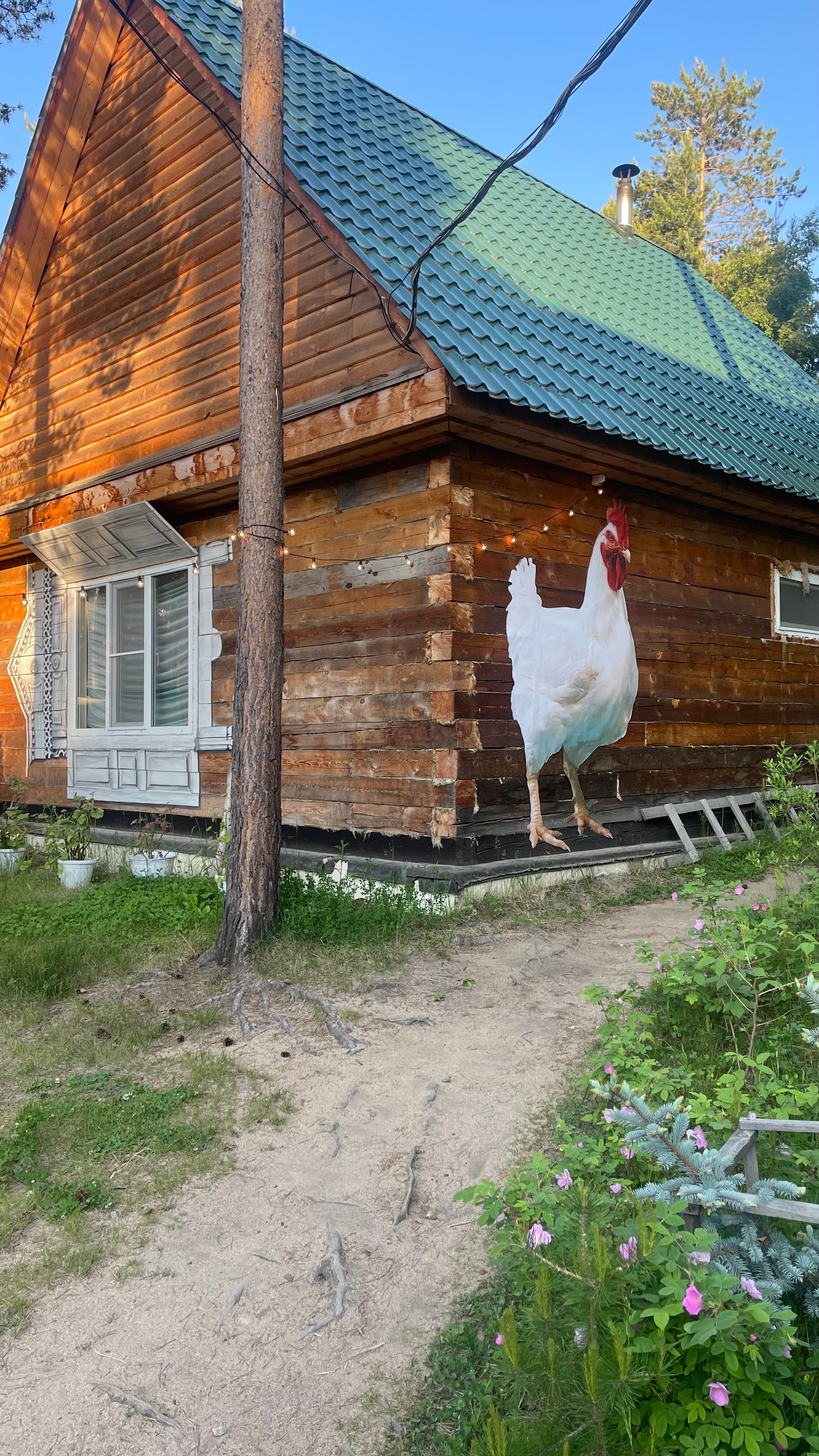 Фото Радуга