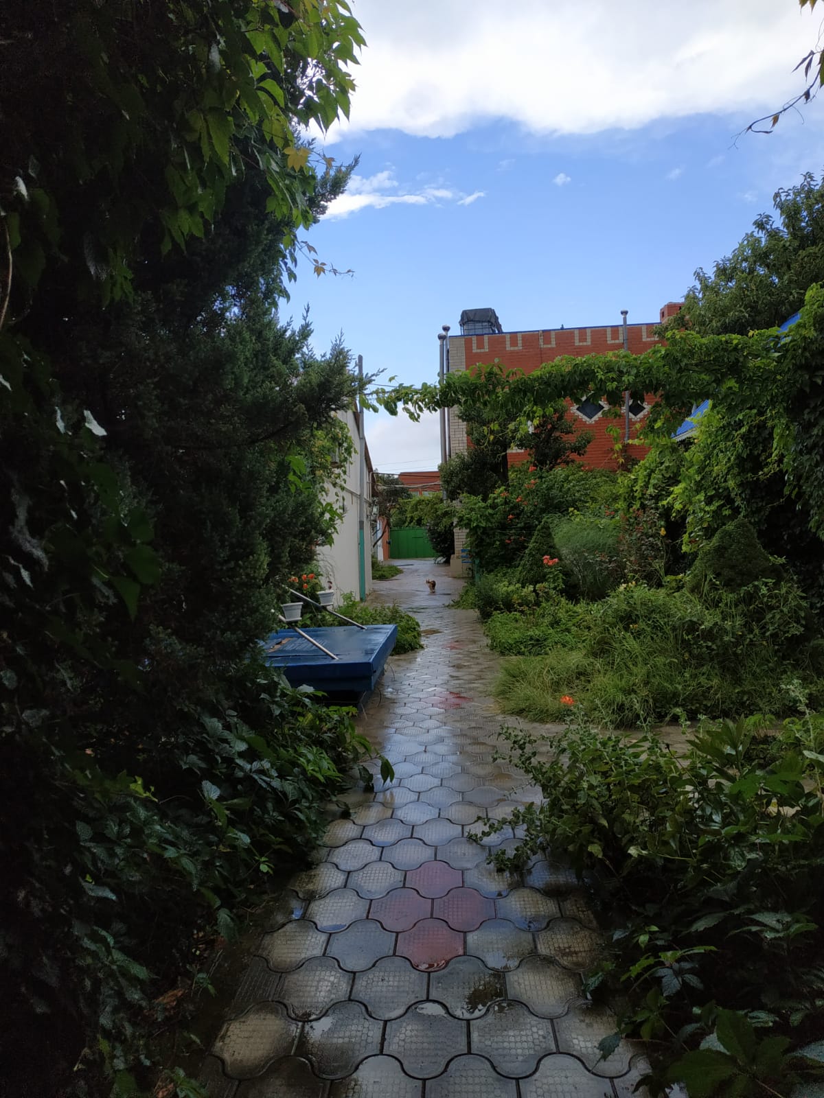 Фото Лукоморье