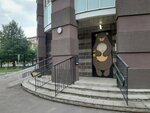 Санкт-Петербургский центр социальной адаптации, реабилитации и абилитации (Glukhaya Zelenina Street, 6) ، مركز تنمية الأطفال