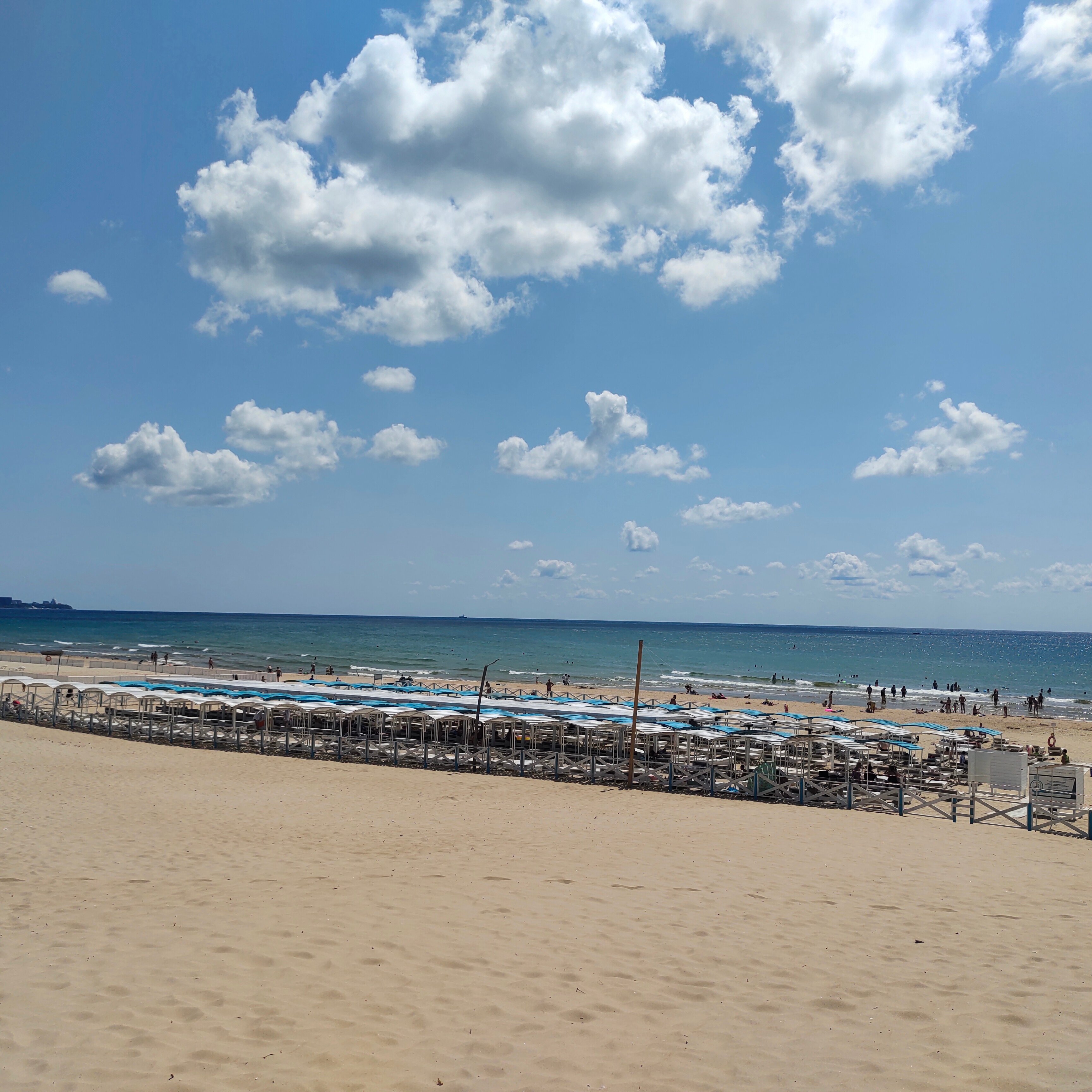 Фото Леонардо