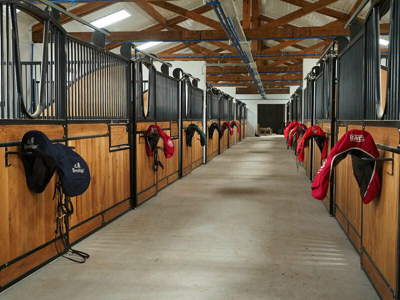 Horse harness SaleSaddle, Moscow and Moscow Oblast, photo