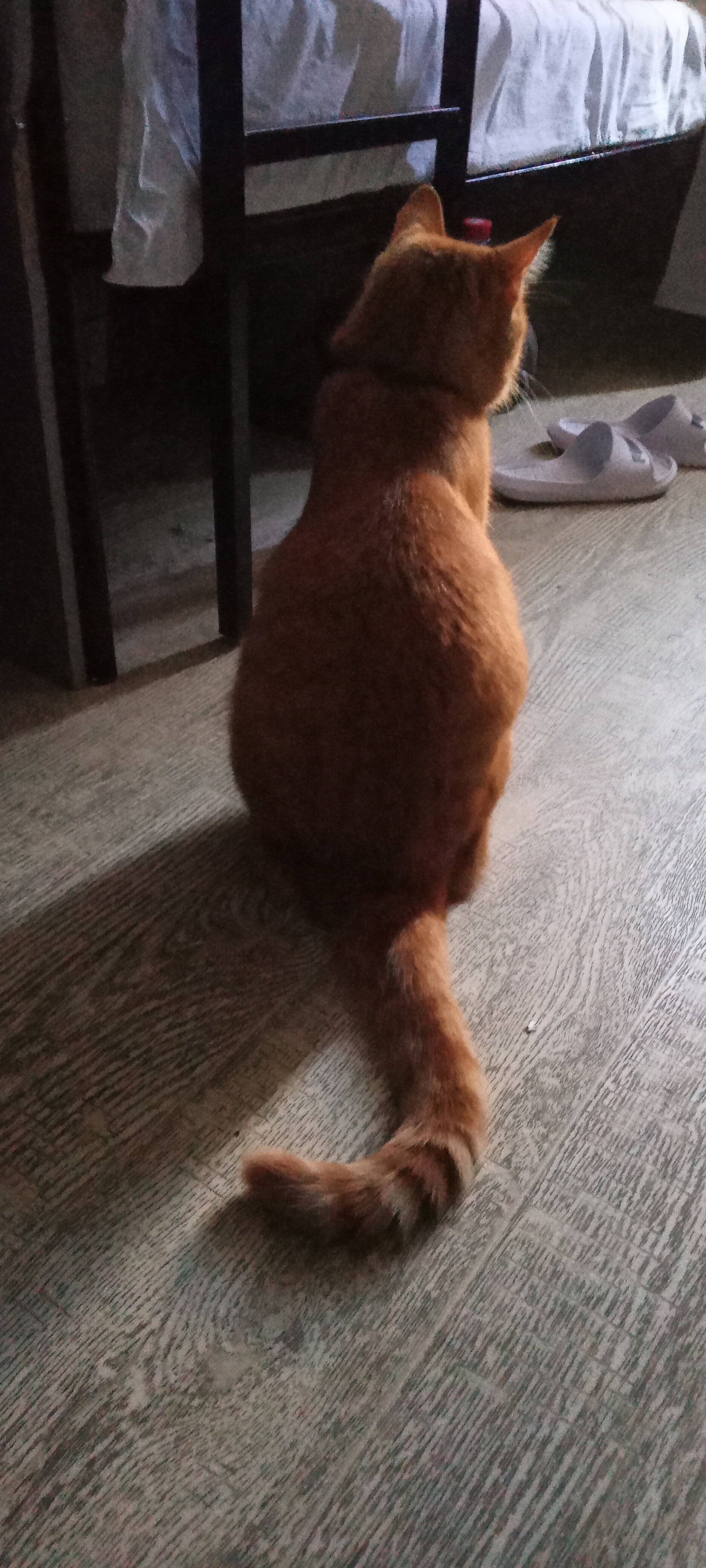 Фото В гостях у бабуsи