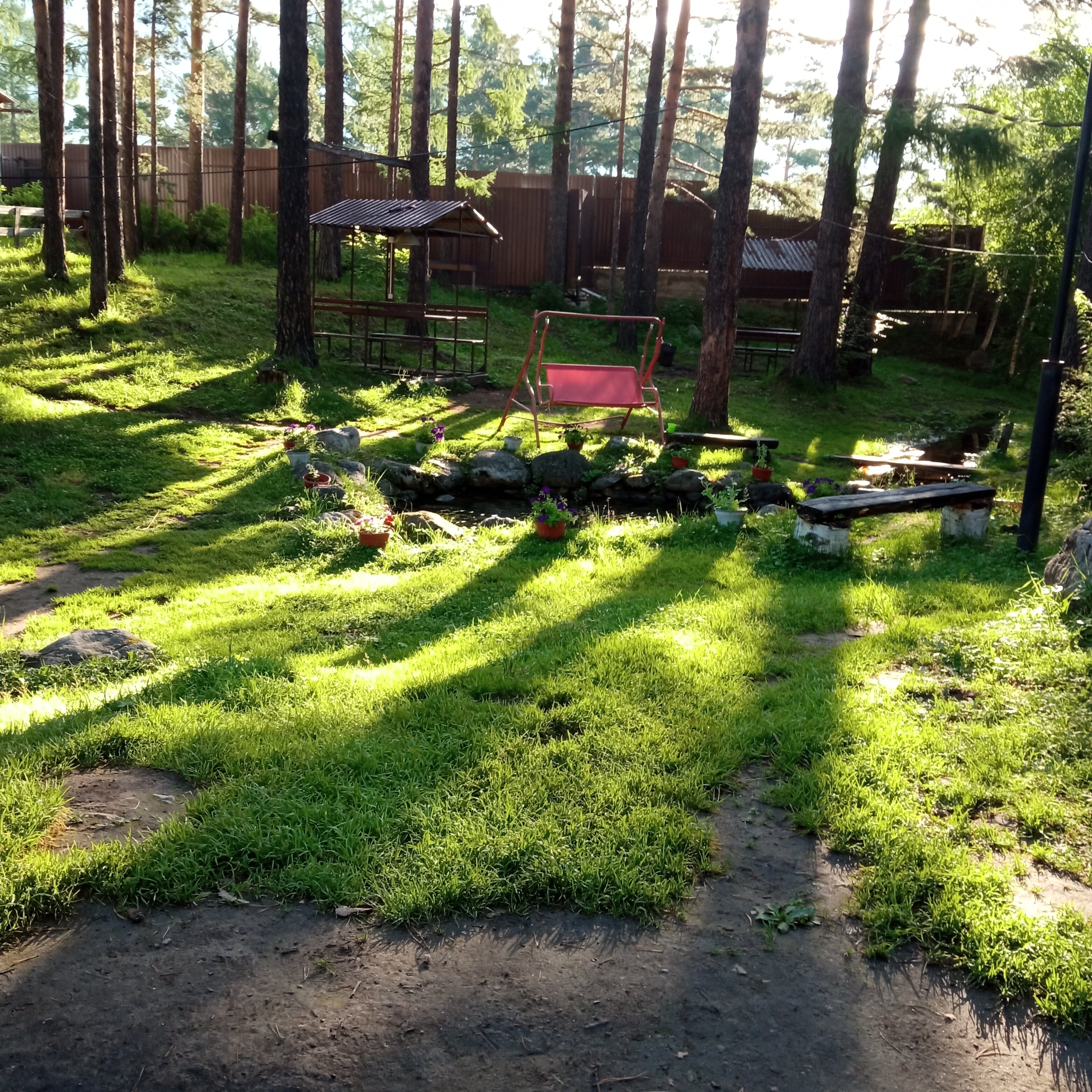 Фото Аршанский бор