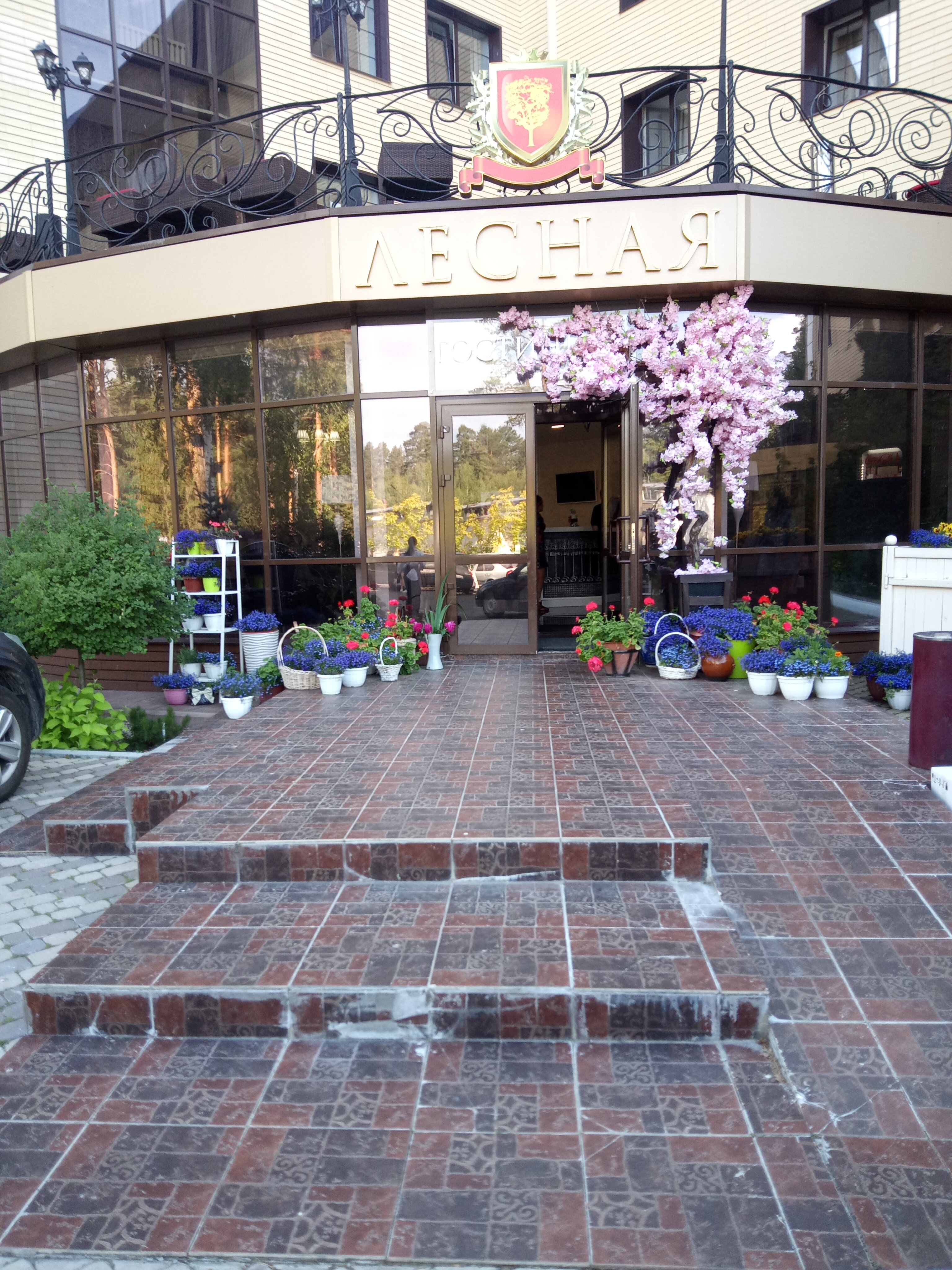 Фото Лесная