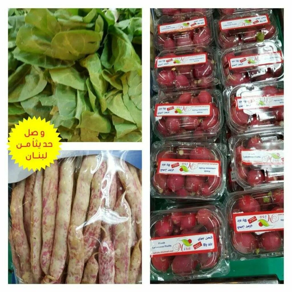 Supermarket Istanbul Supermarket, Al Ain, photo