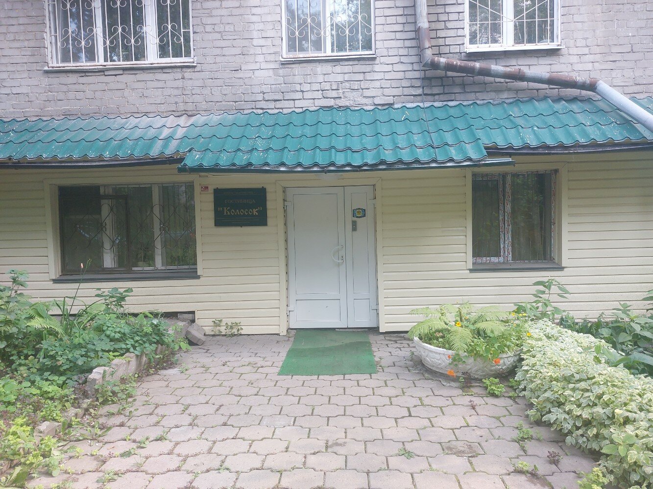 Фото Колосок