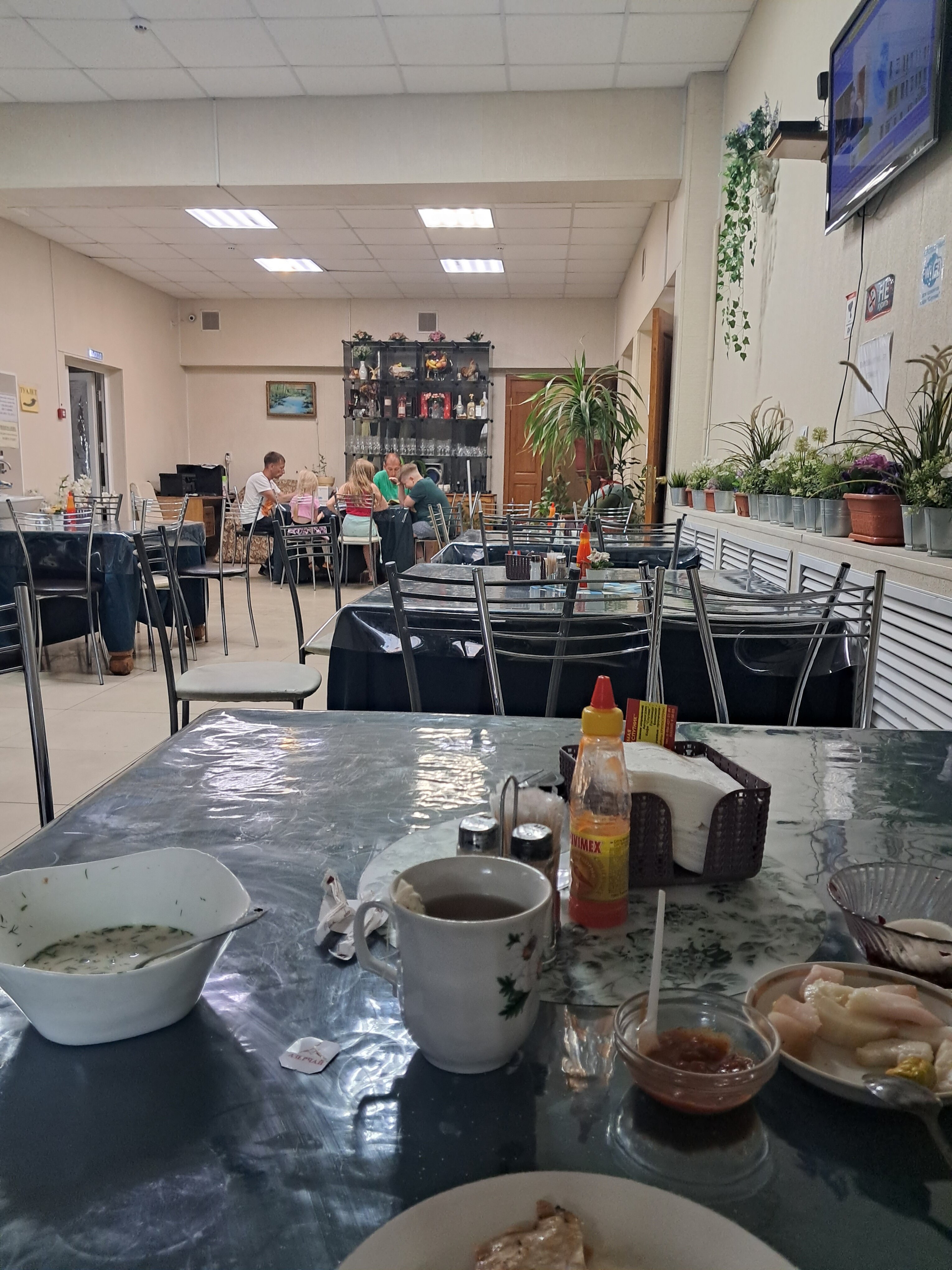 Фото Спутник