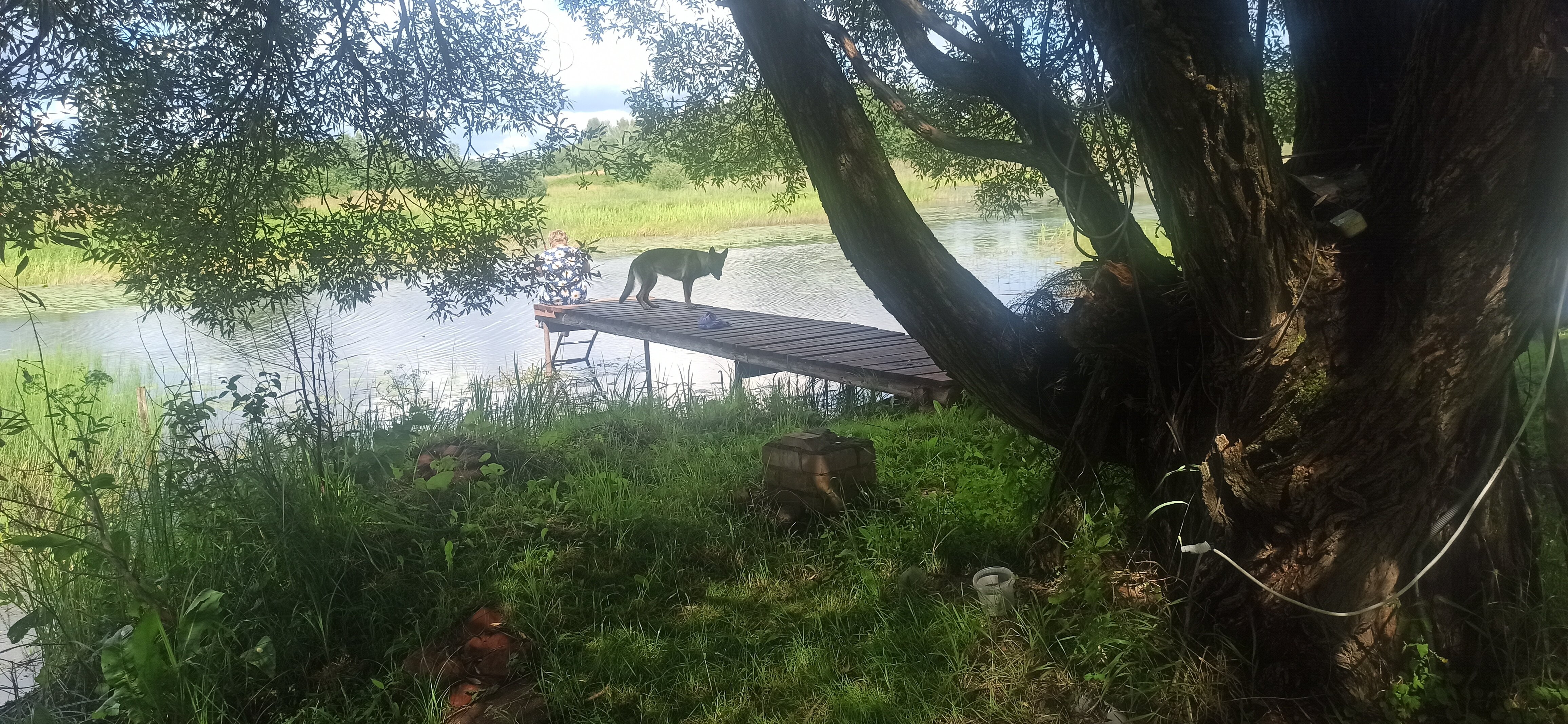 Фото Бологое Дом