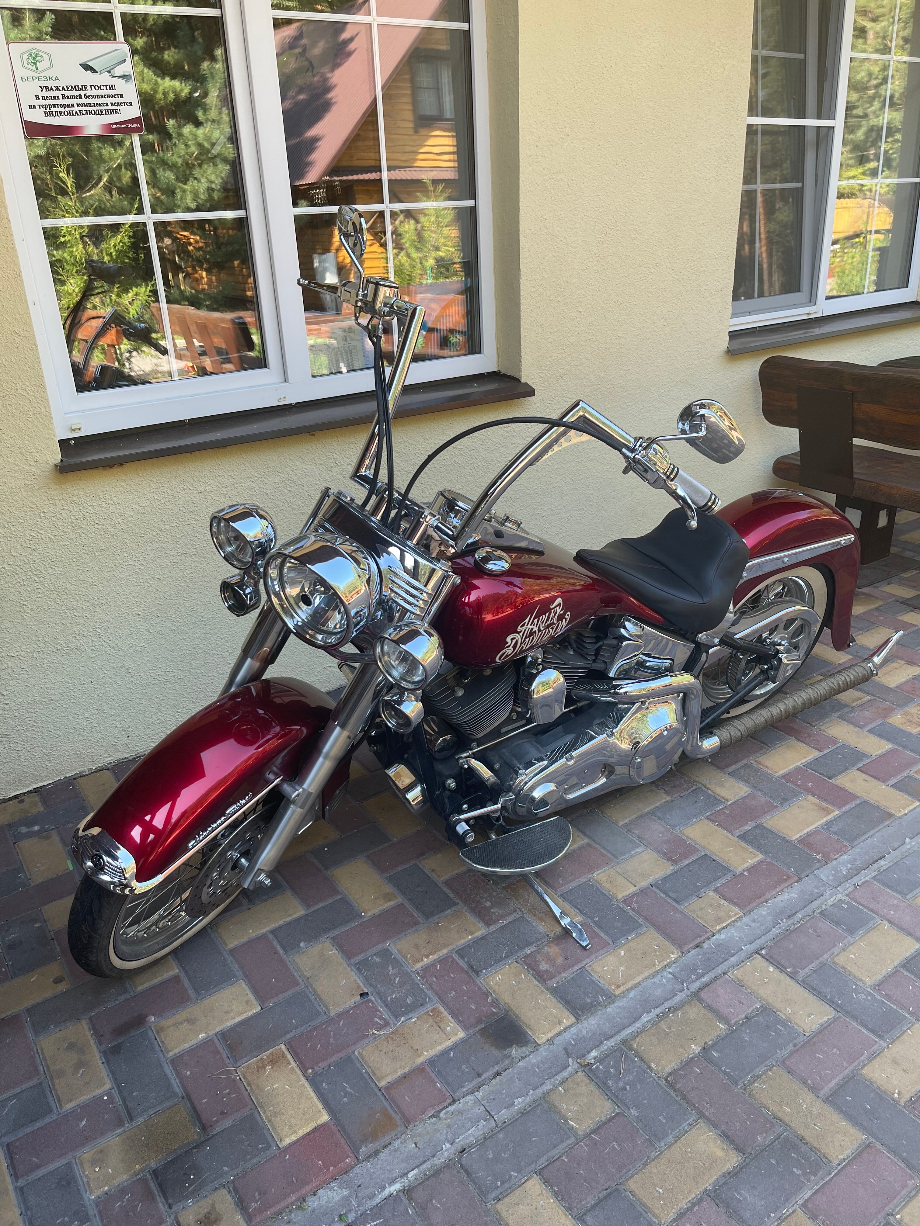 Фото Берёзка