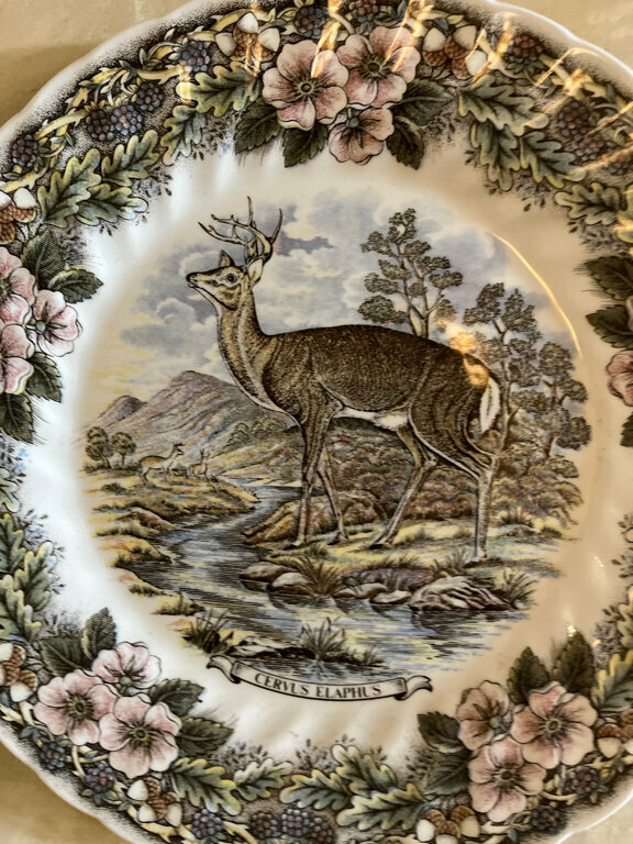 Cafe Rigensis, Riga, photo