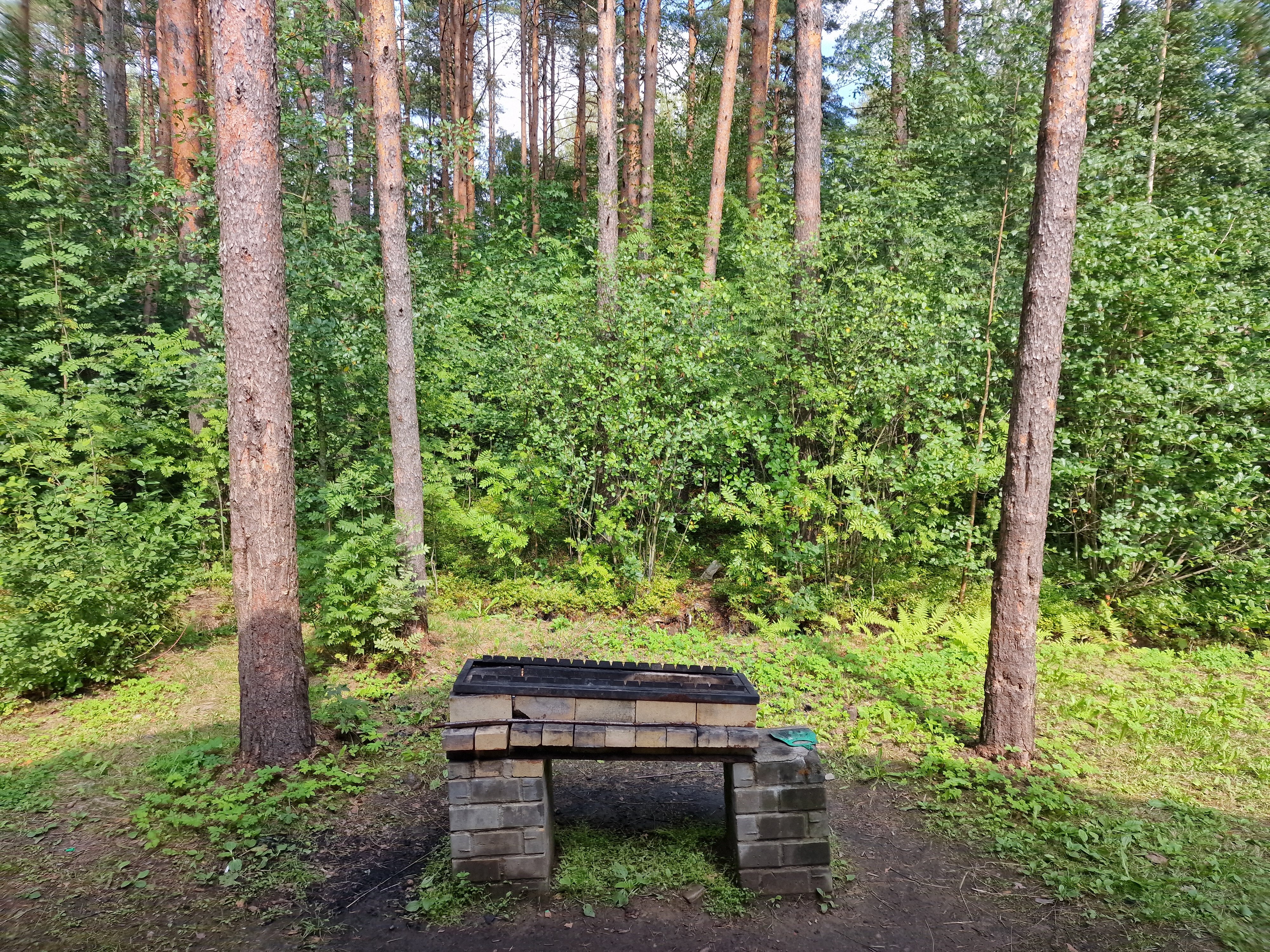 Фото Северный склон