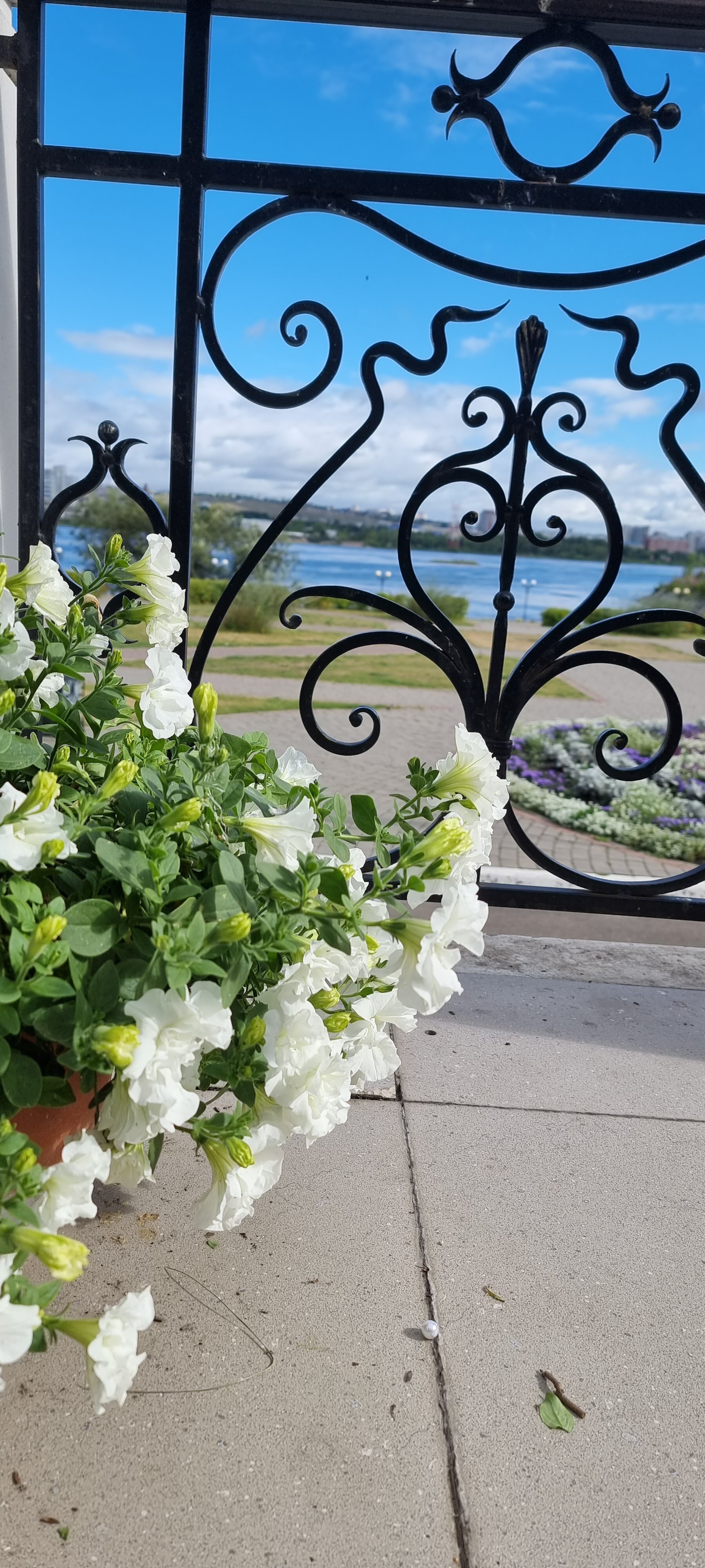 Фото Сибирский Сафари клуб