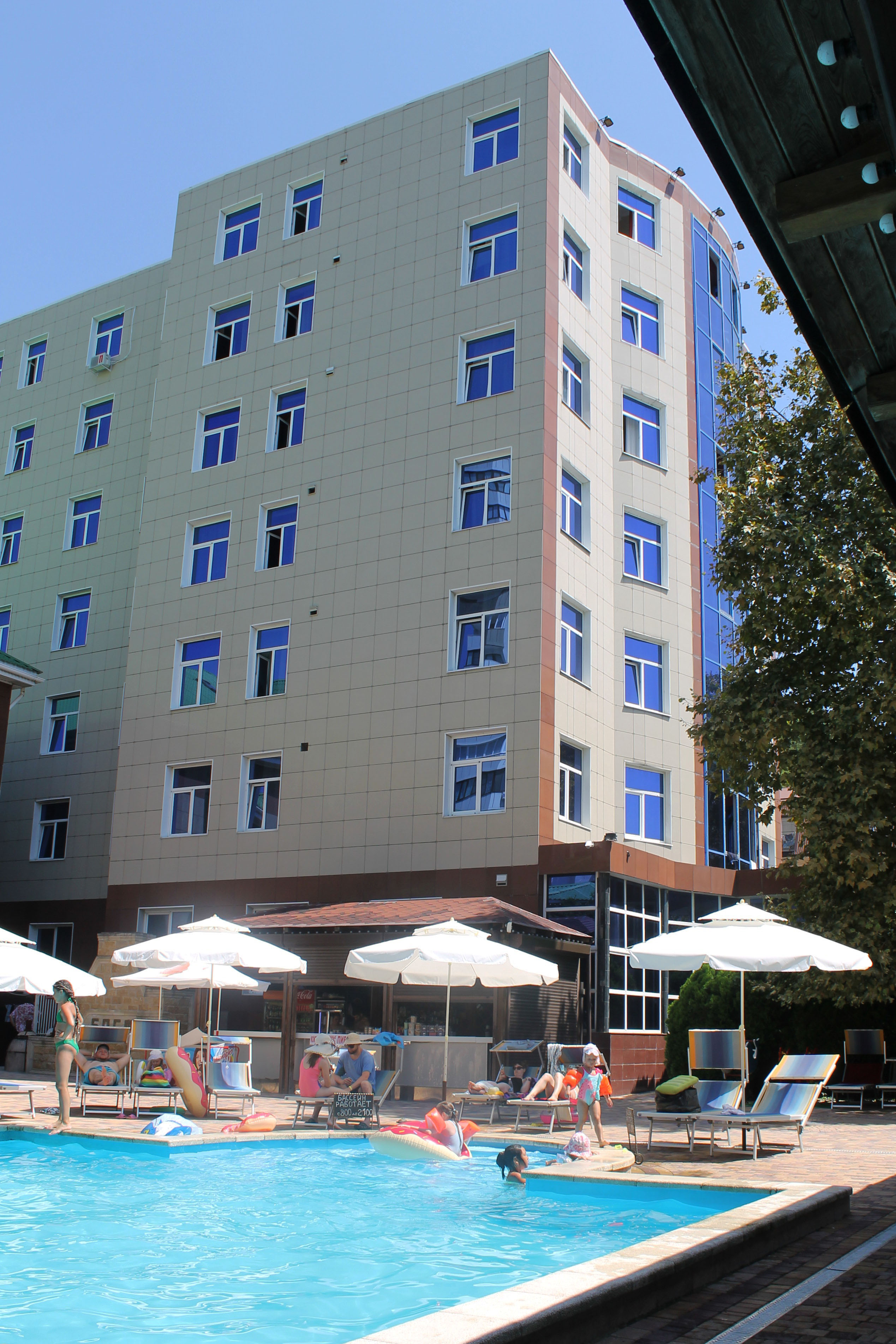 Фото Кипарис