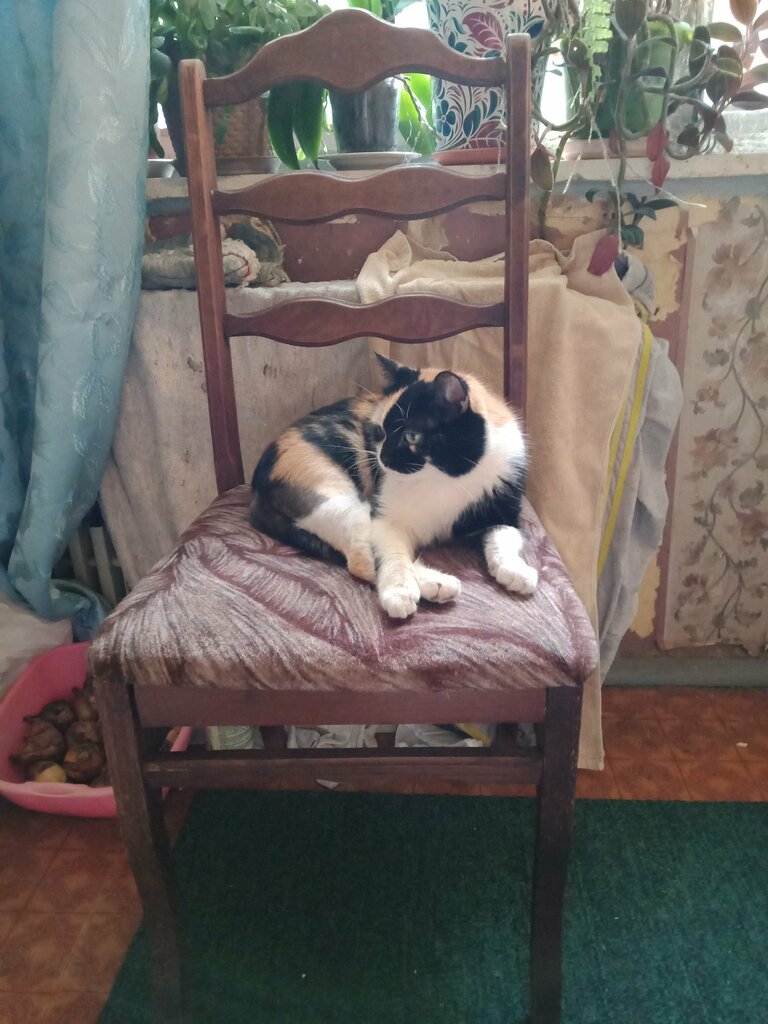 Playground Playground, Voronezh, photo