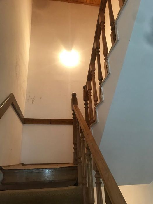 Фото Фиоленто