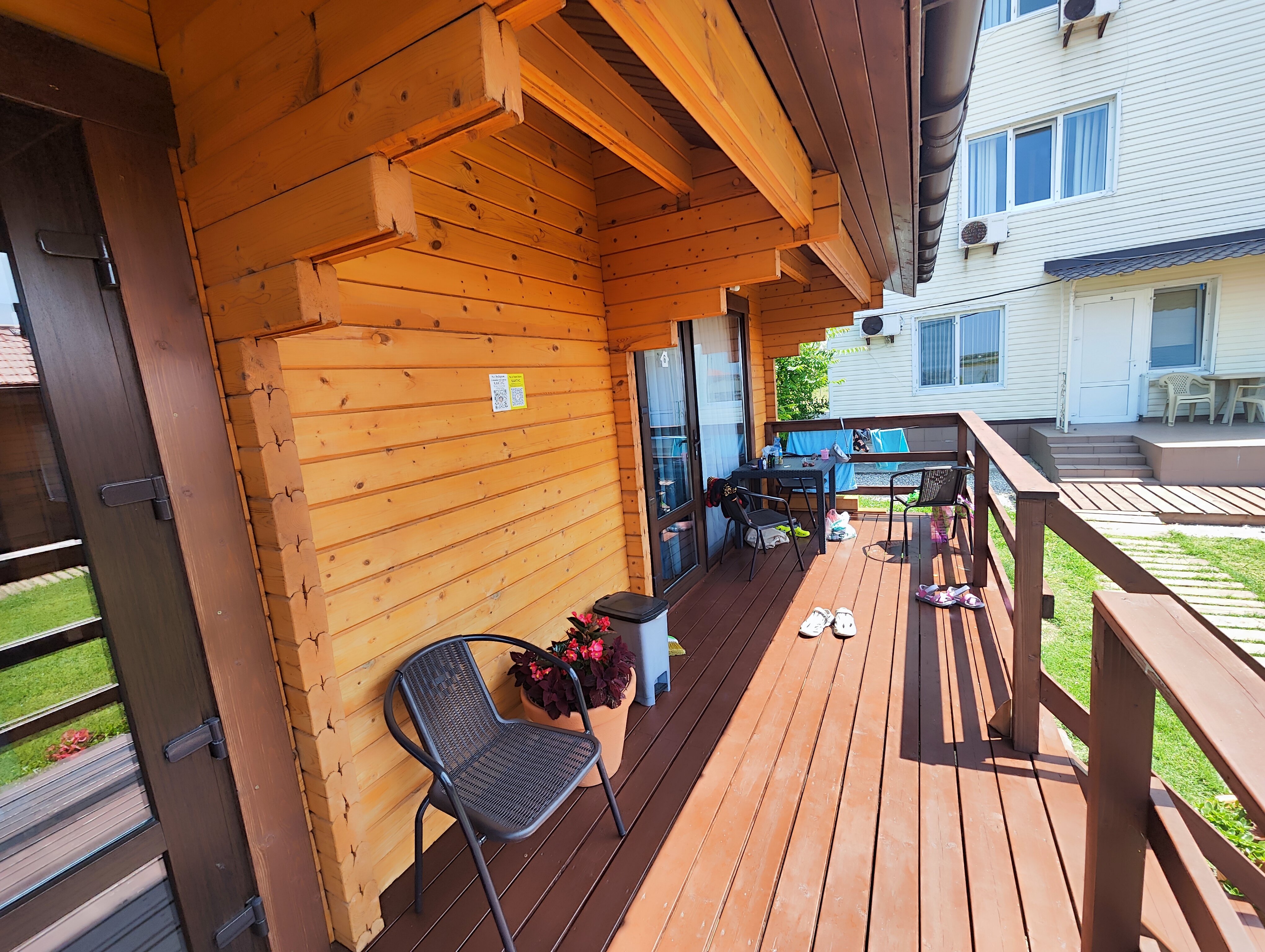 Фото Кактус