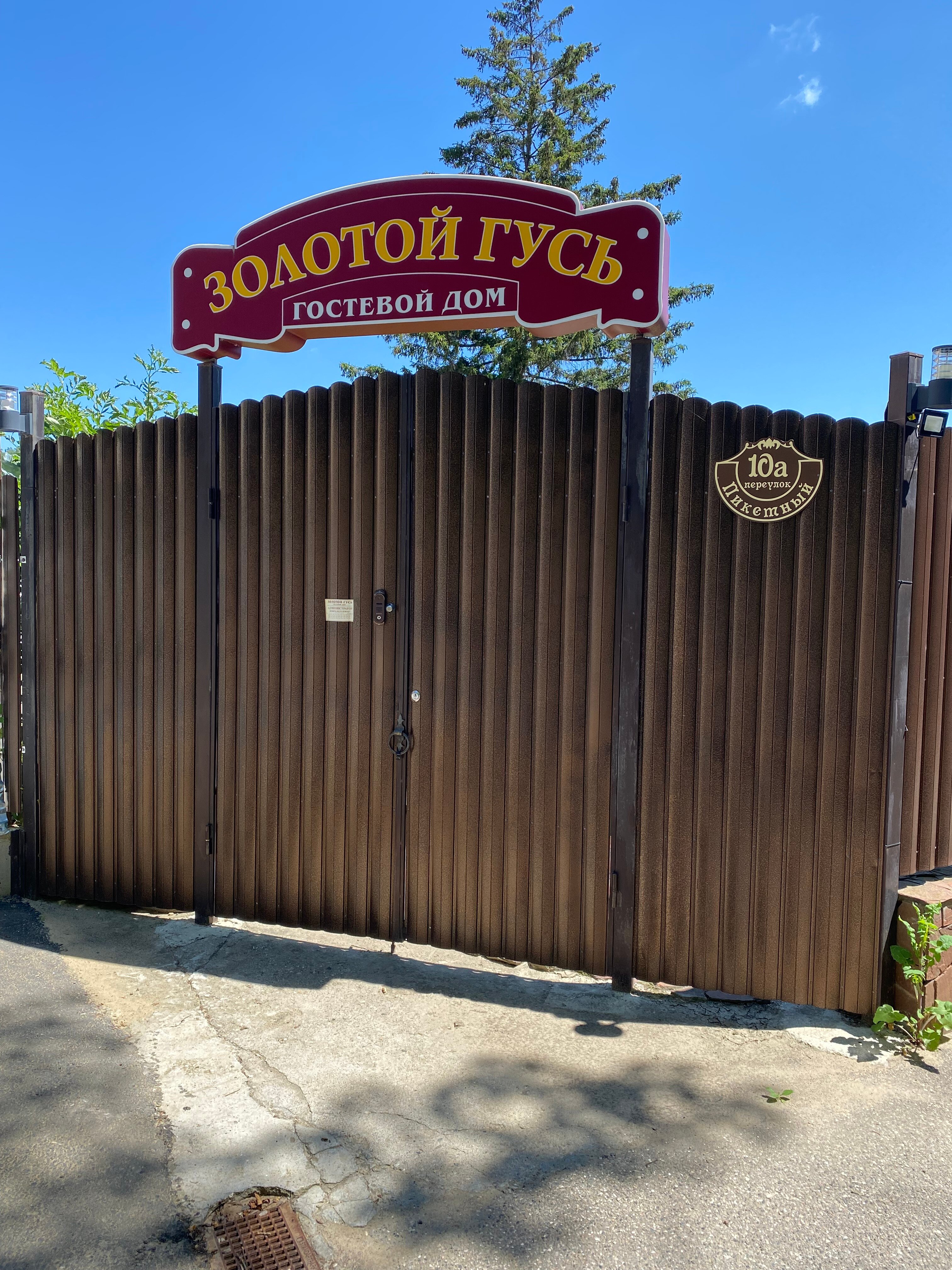 Фото Золотой Гусь