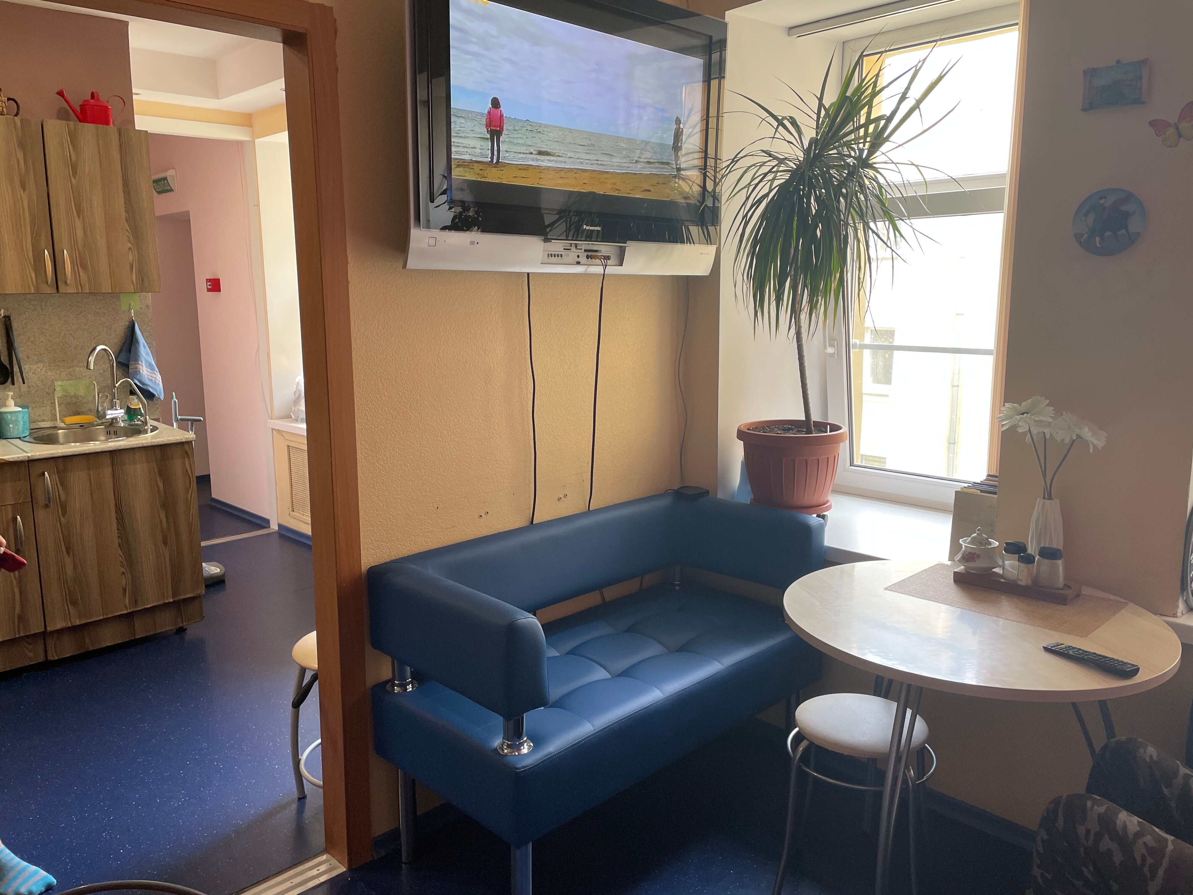 Фото Никитская капсула