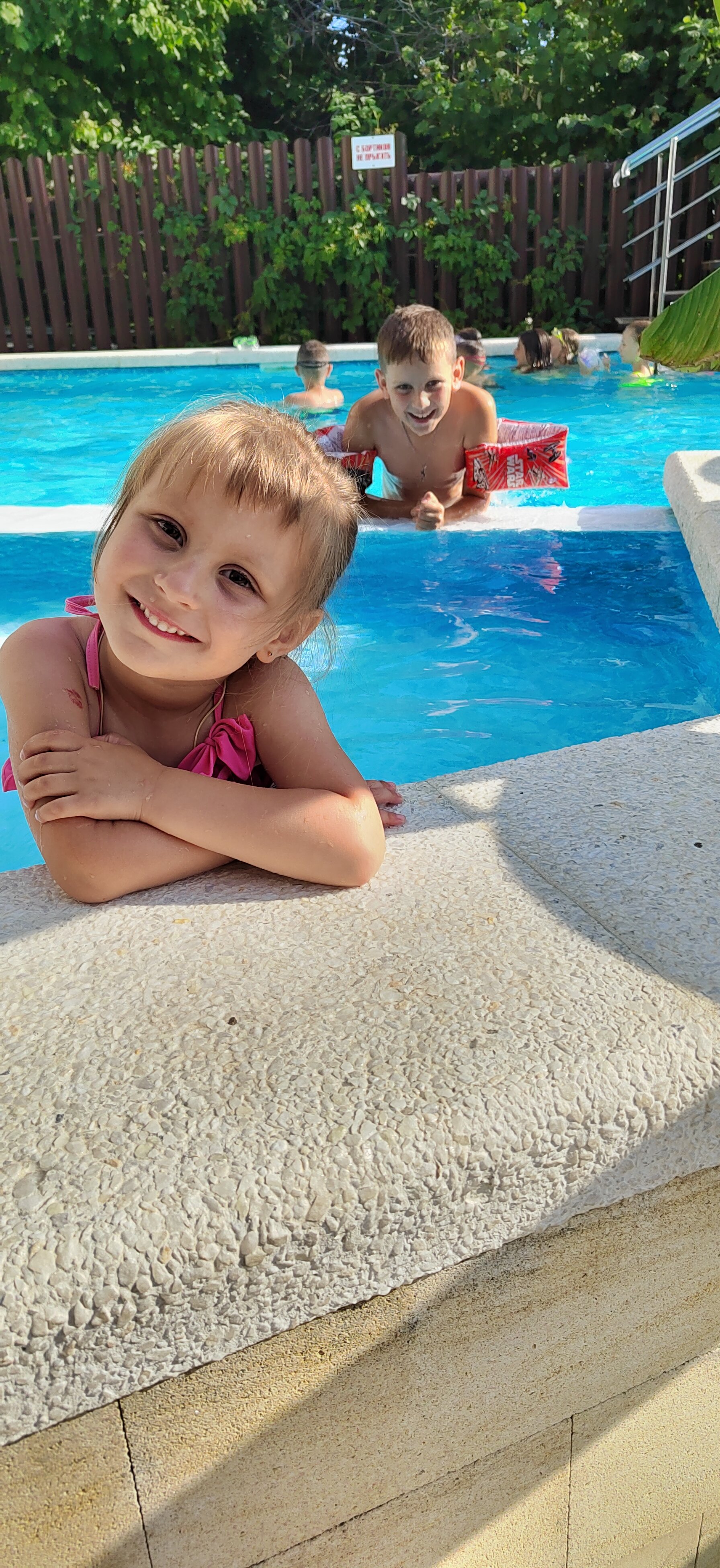 Фото Березы