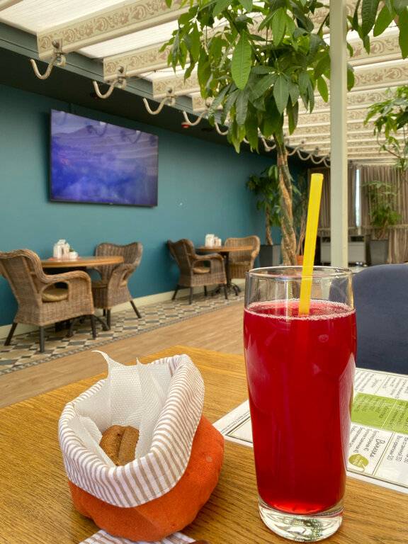 Фото Сытый Ежик