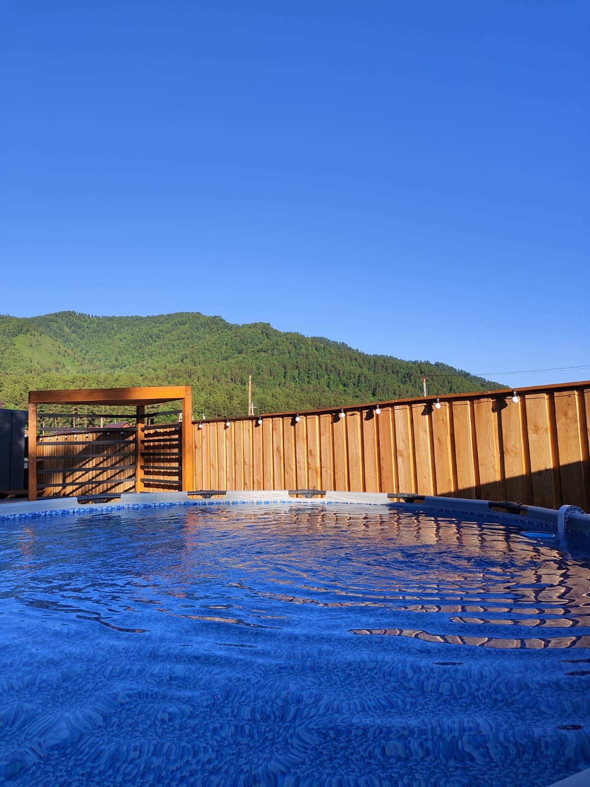 Фото Лес ДО небес